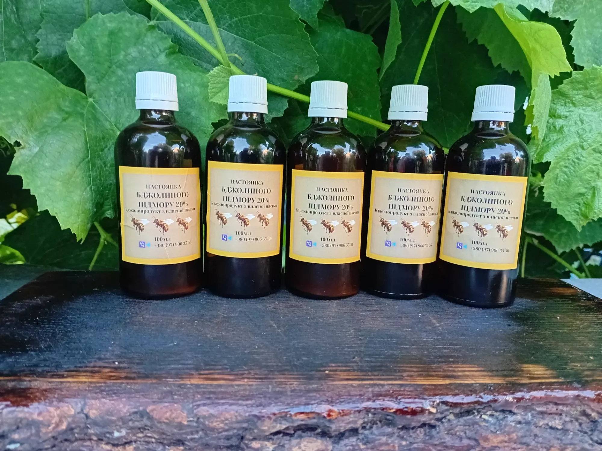 Бджолиний підмор 20%