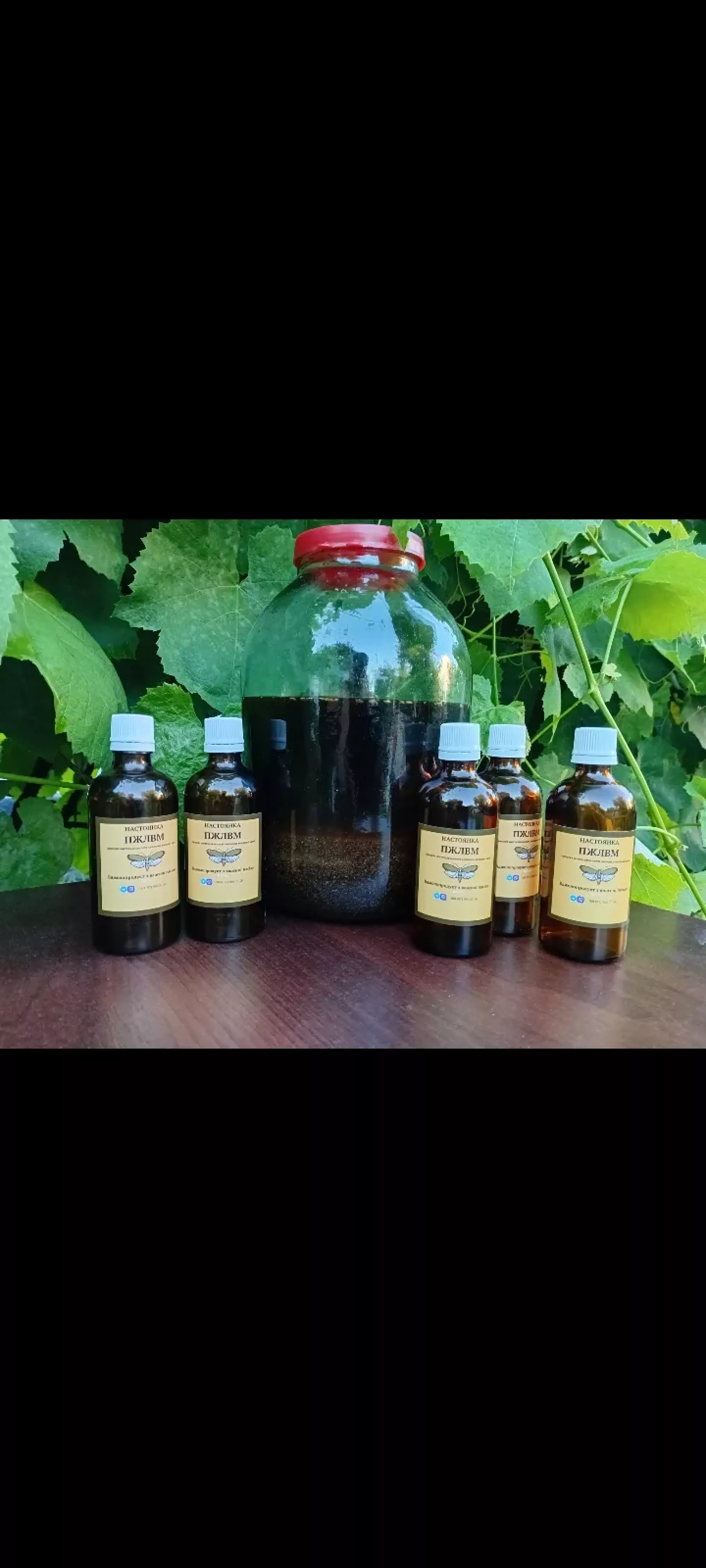 Екстракт воскової молі ПЖЛВМ 10% та 20%