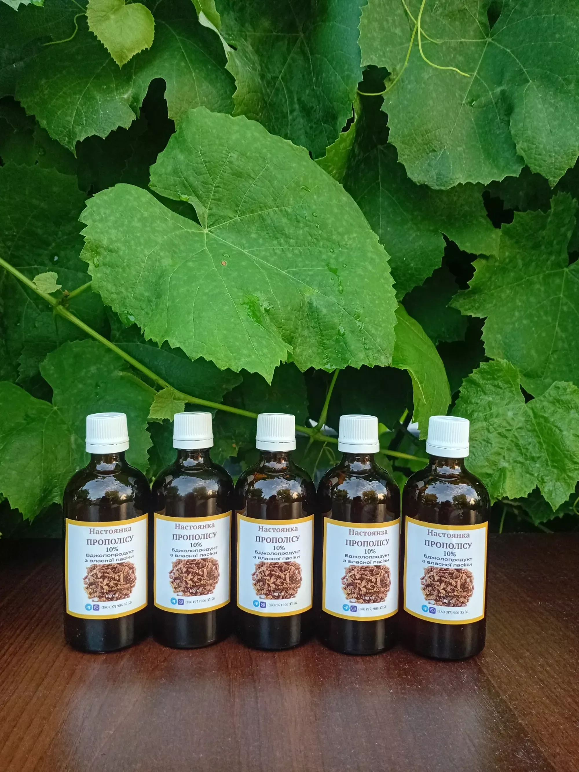 Настоянка прополісу 10%