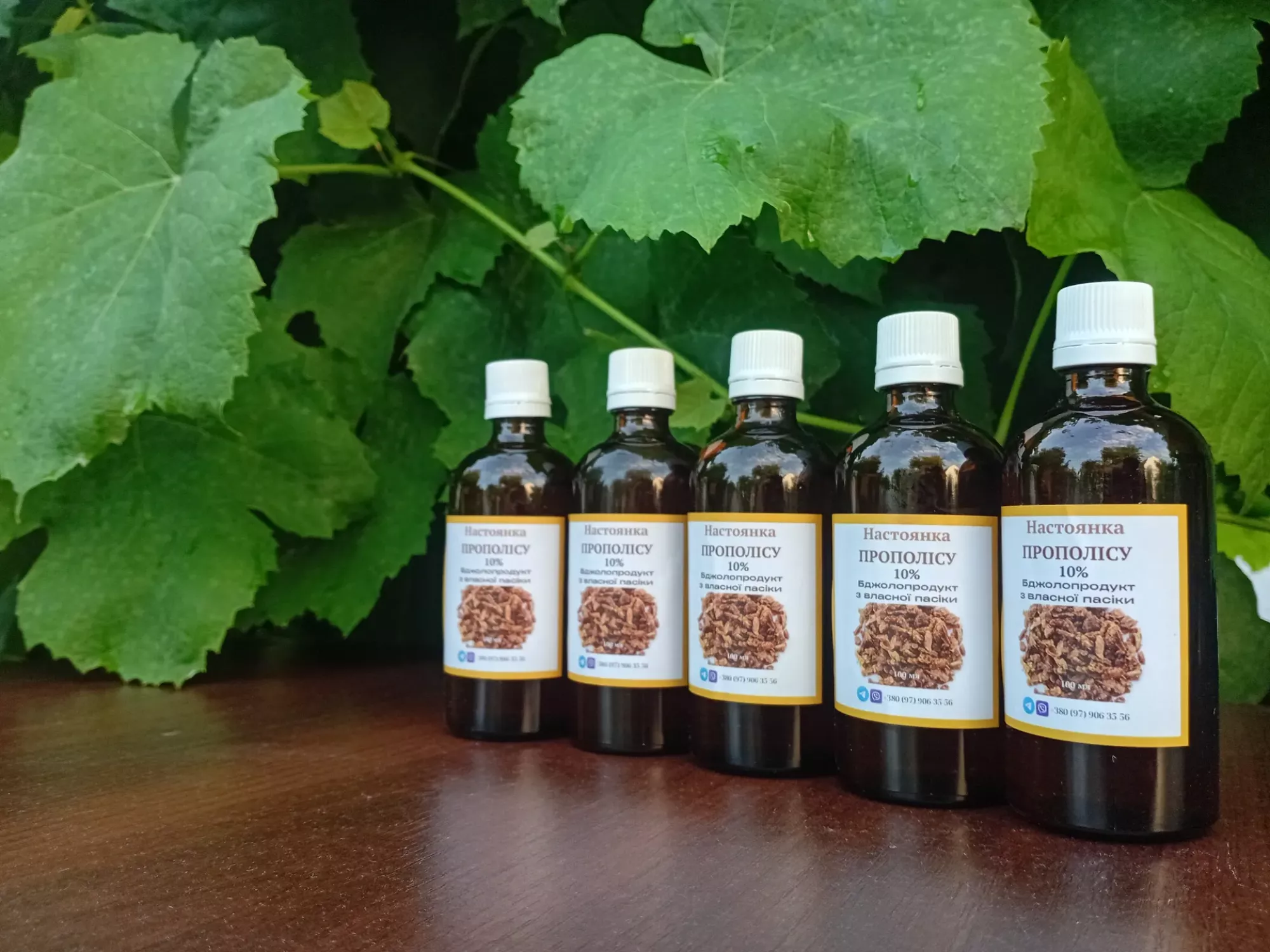 Настоянка прополісу 10%