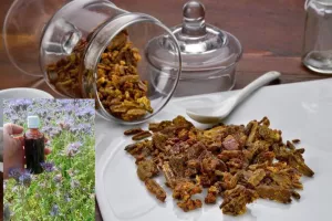 Водний прополіс екстракт