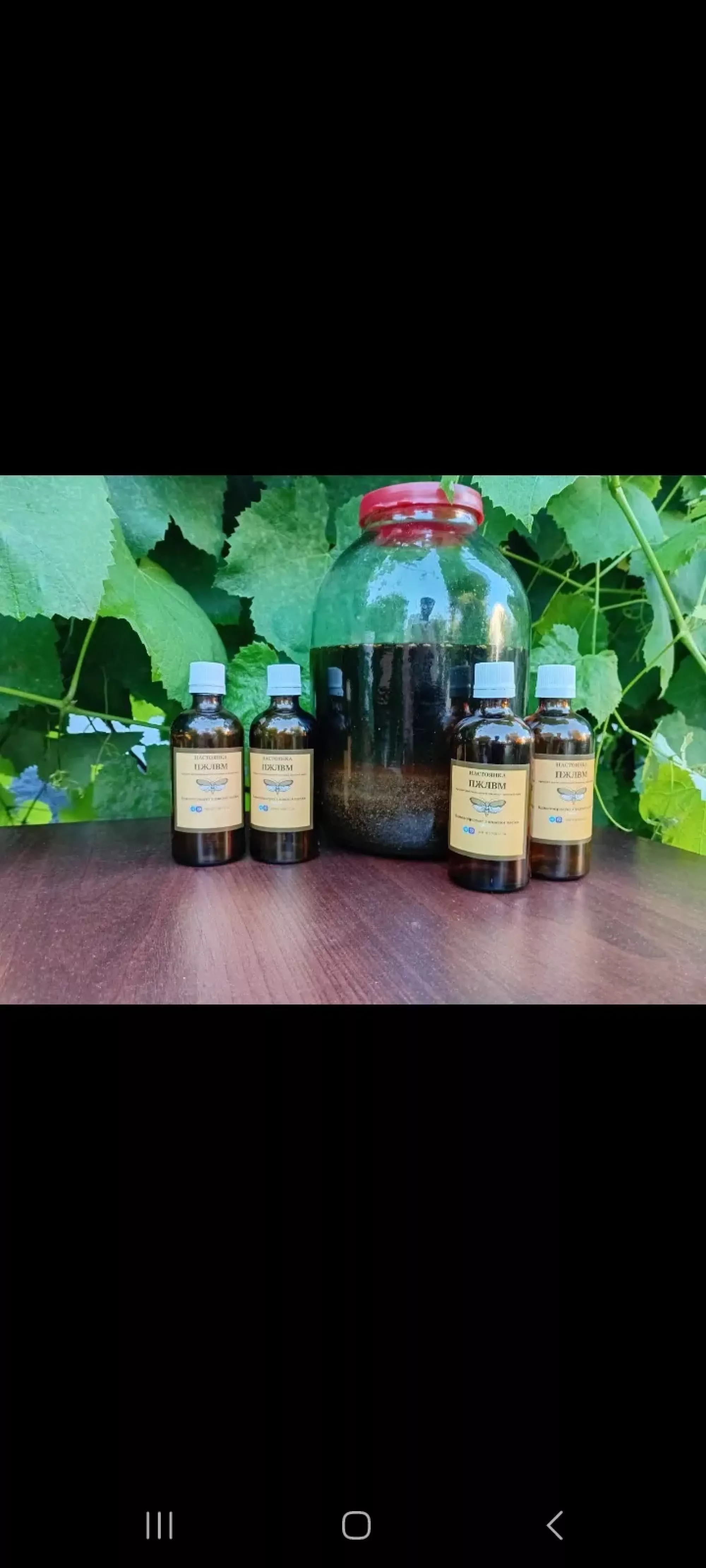 Настоянка ПЖЛВМ воскова моль 10% та 20%