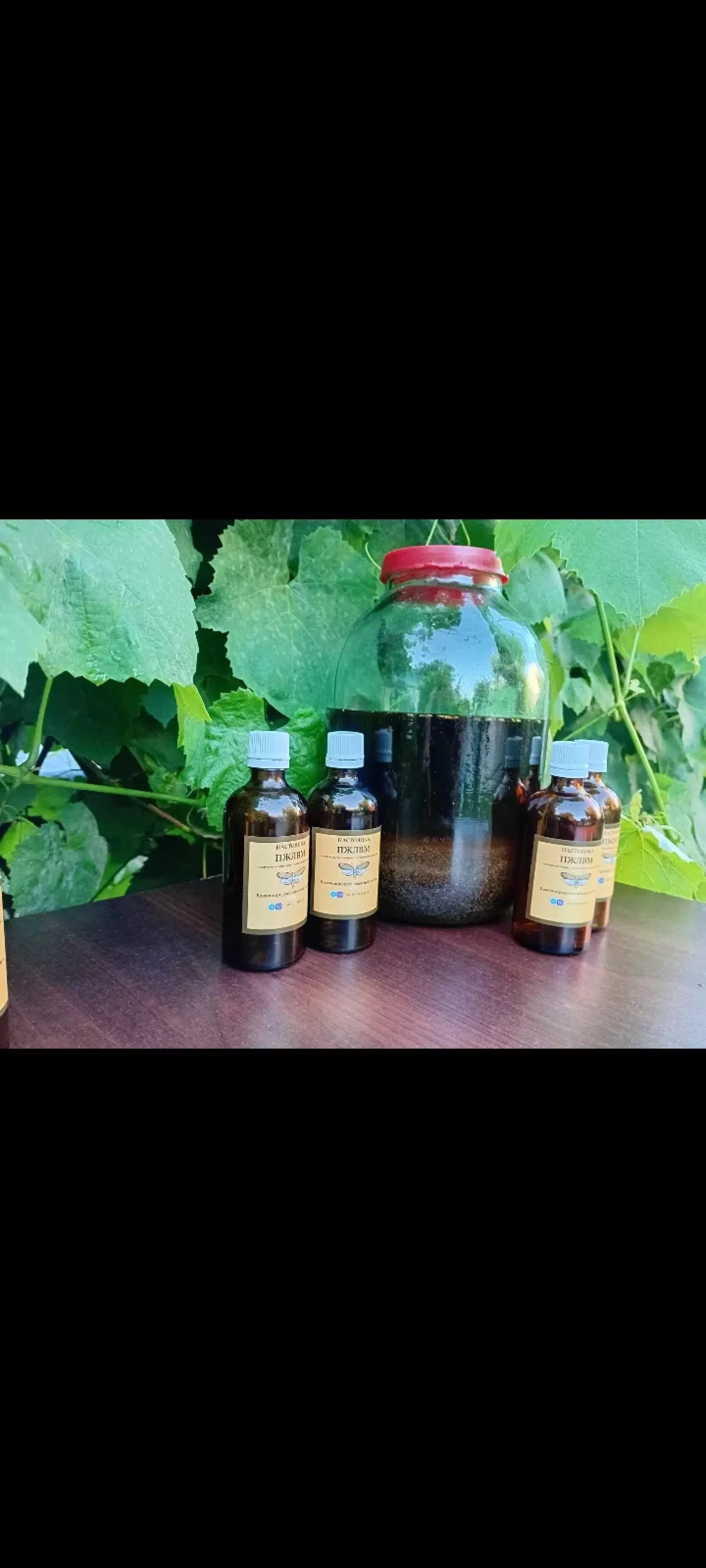 Настоянка ПЖЛВМ 20% та 10% воскова міль