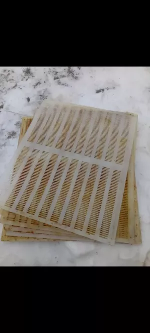 Прополісозбірник решітка для збору прополісу 7шт