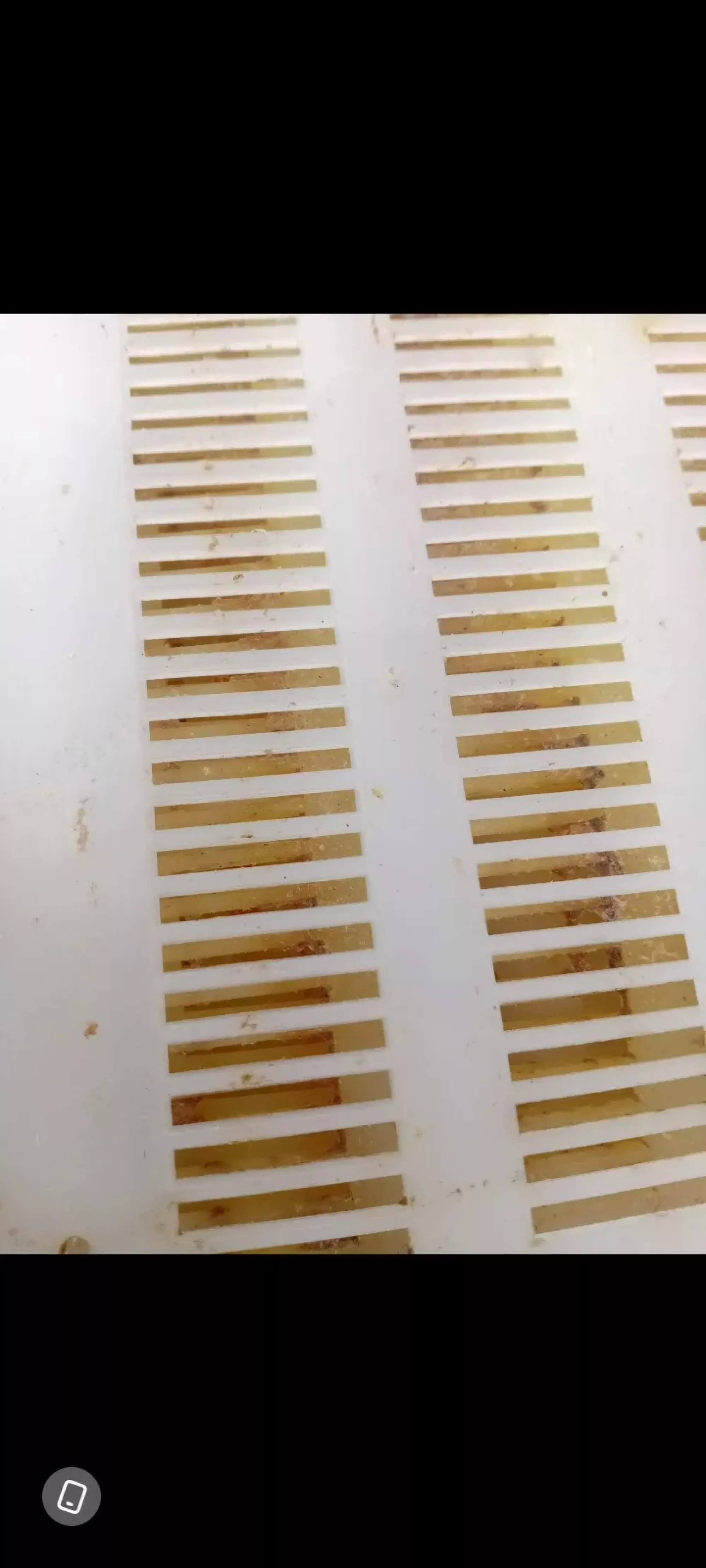 Прополісозбірник решітка для збору прополісу 7шт