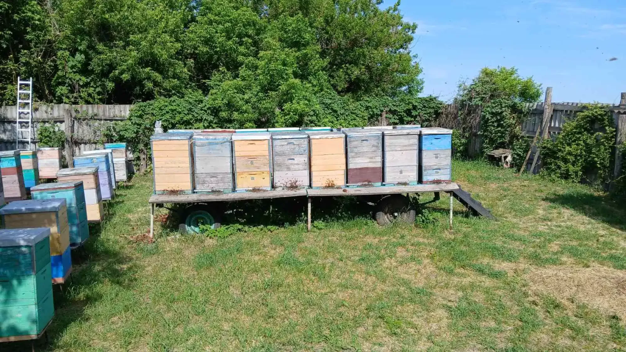 Продається причеп для перевезення вуликів