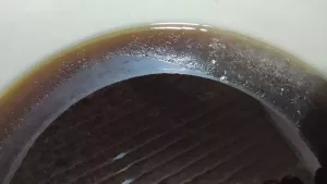 Гречаний Мед