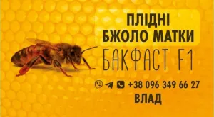 Матки Бакфаст ф1