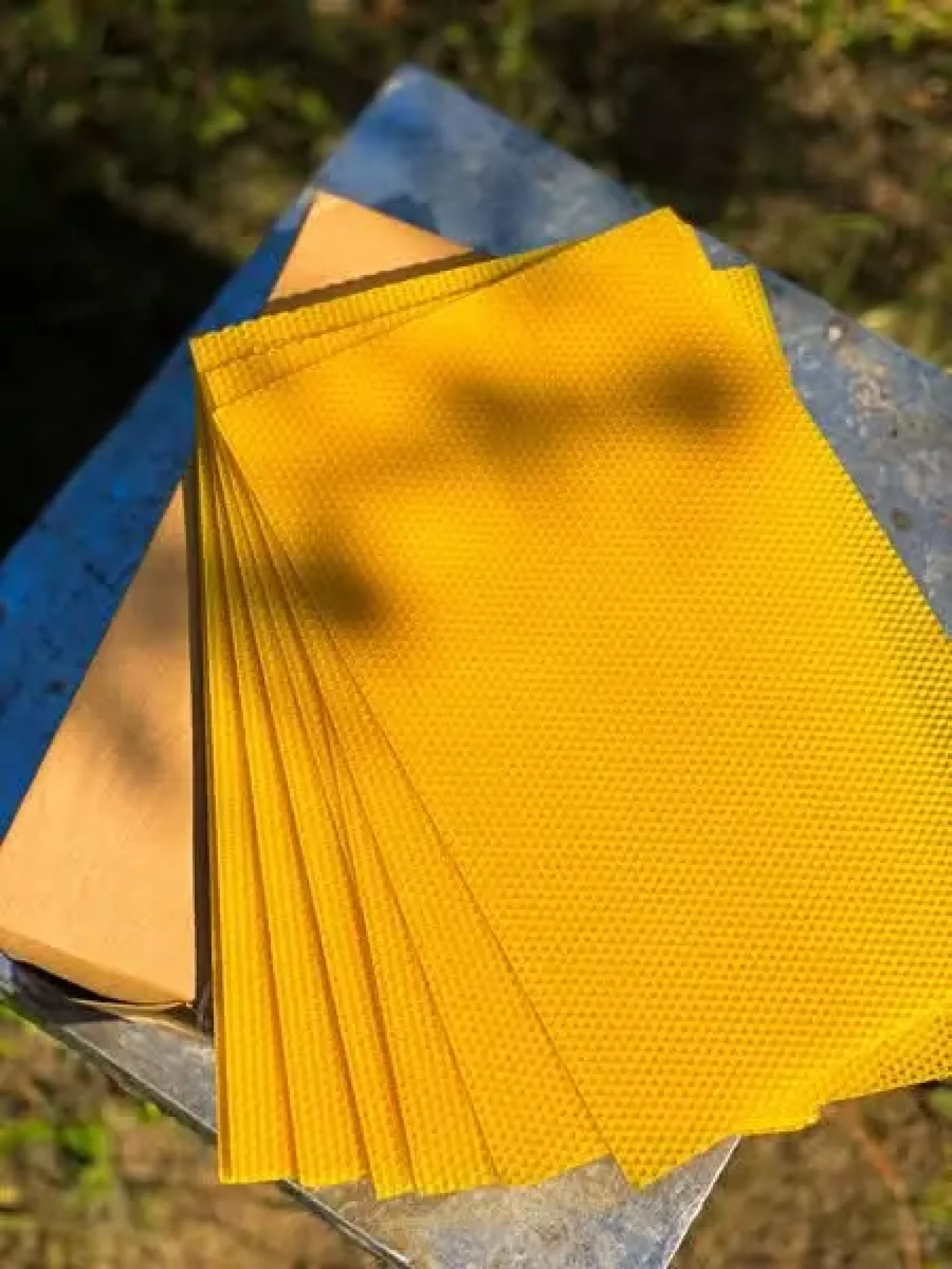 Забрусна вощина ФОП "Мунтян" рута(230)