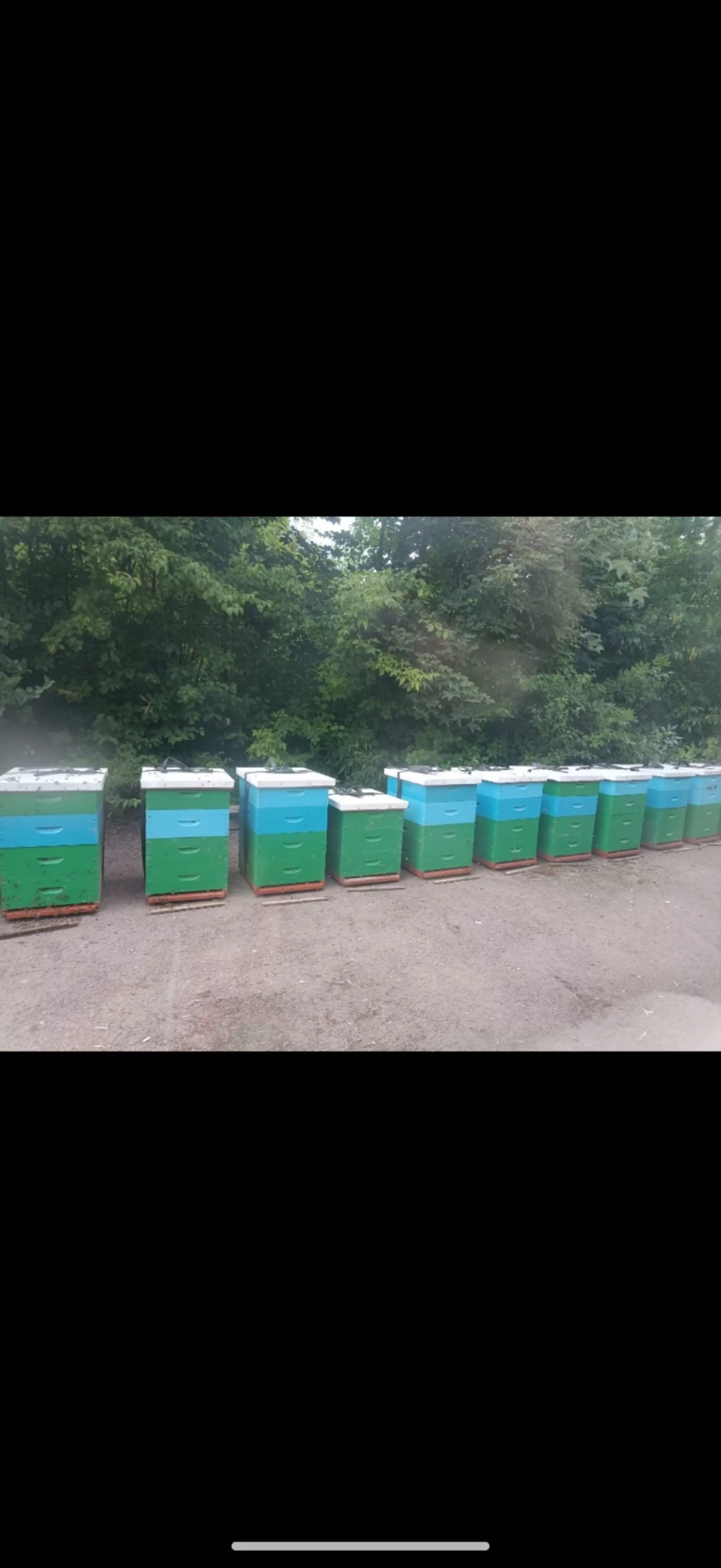 Листовий метал в рулоні на дах вуликів