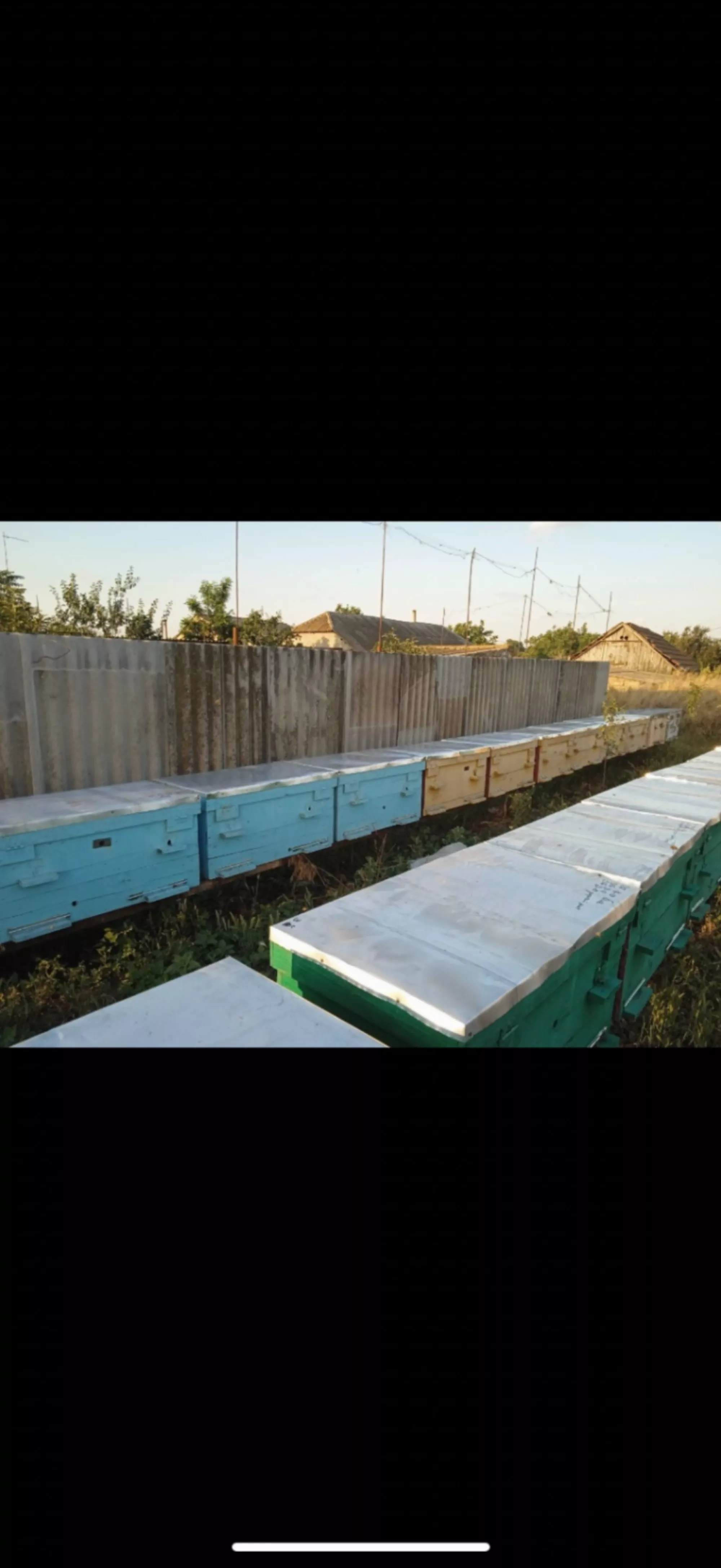 Листовий метал в рулоні на дах вуликів