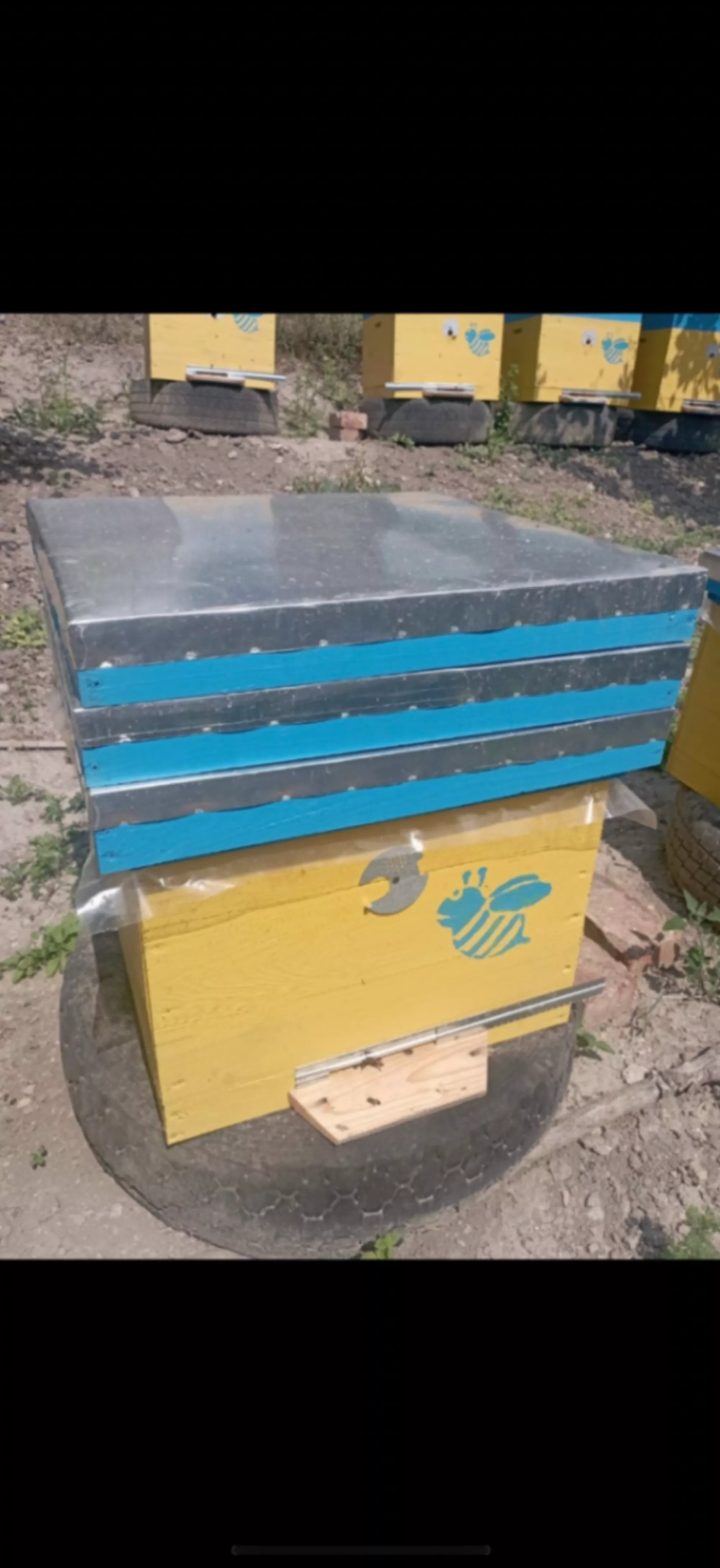 Листовий метал в рулоні на дах вуликів