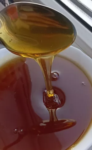 Мед свіжий 2025