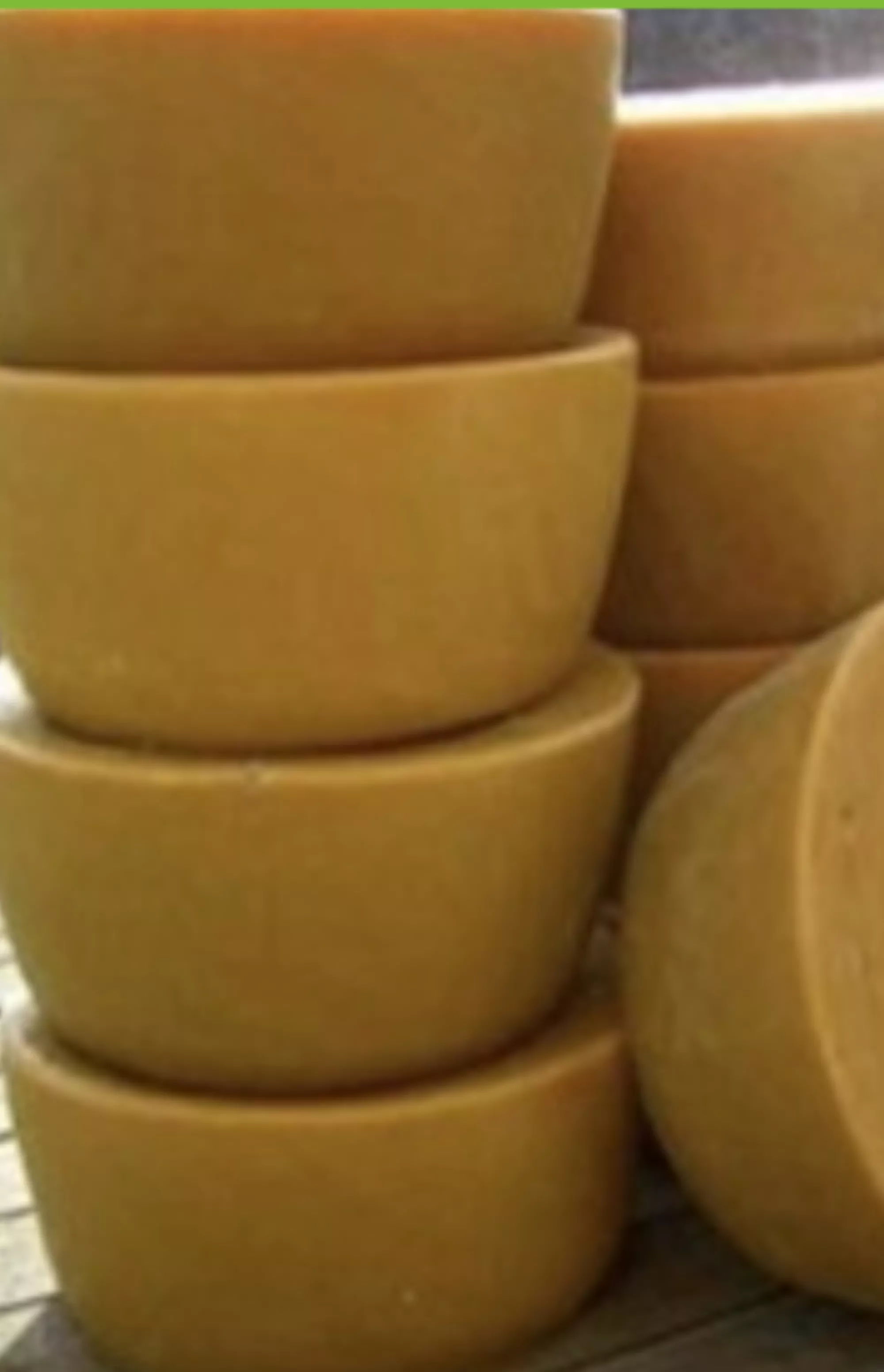 Віск бджолиний