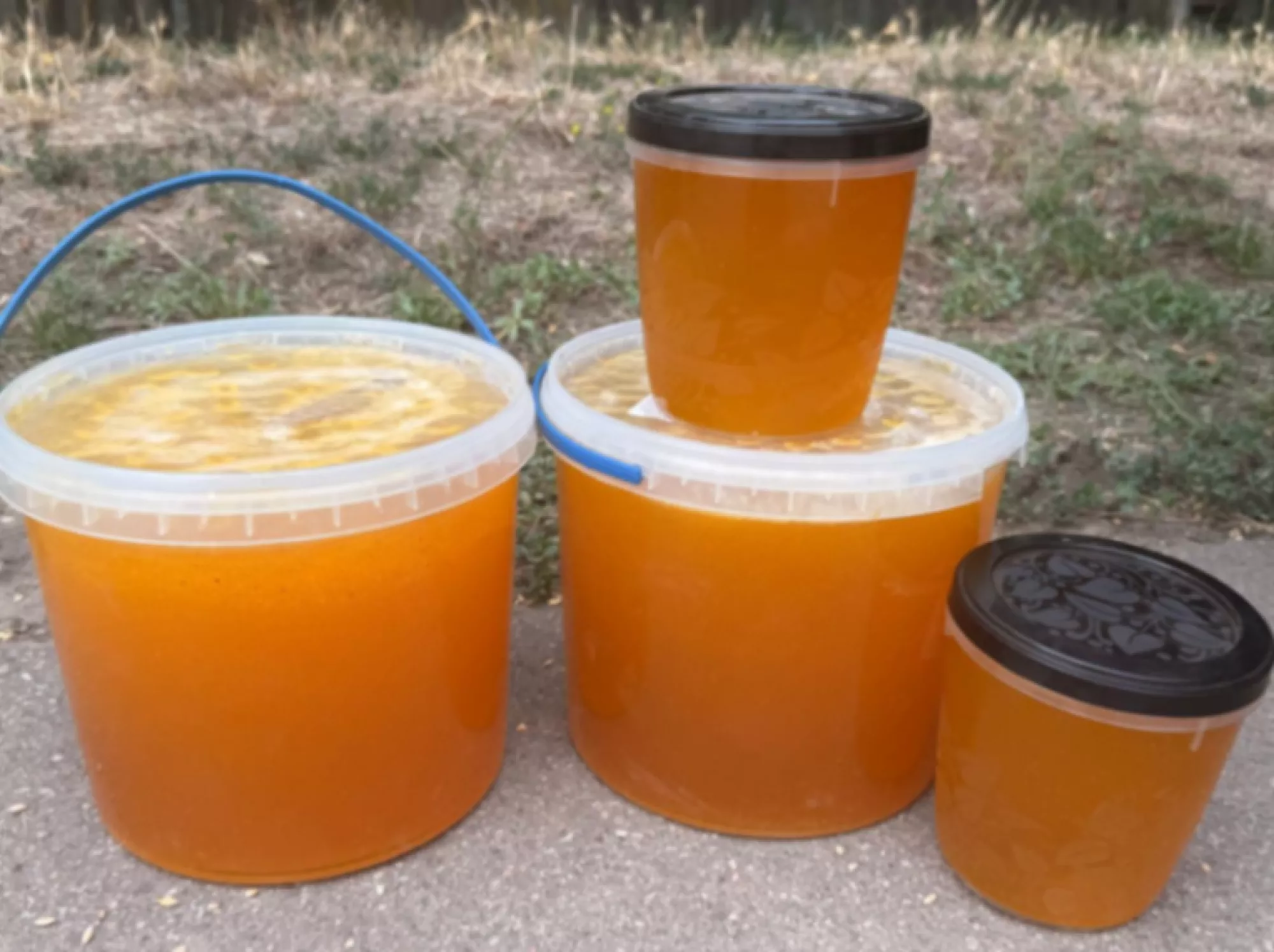 Соняшниковий мед