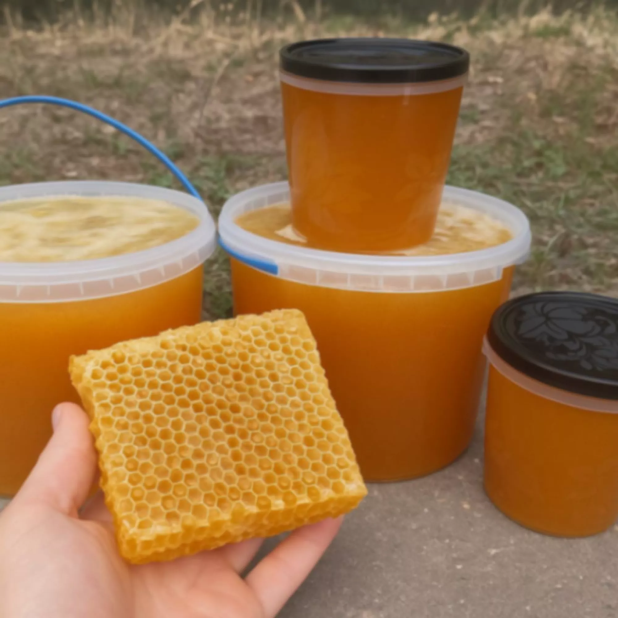 Соняшниковий мед