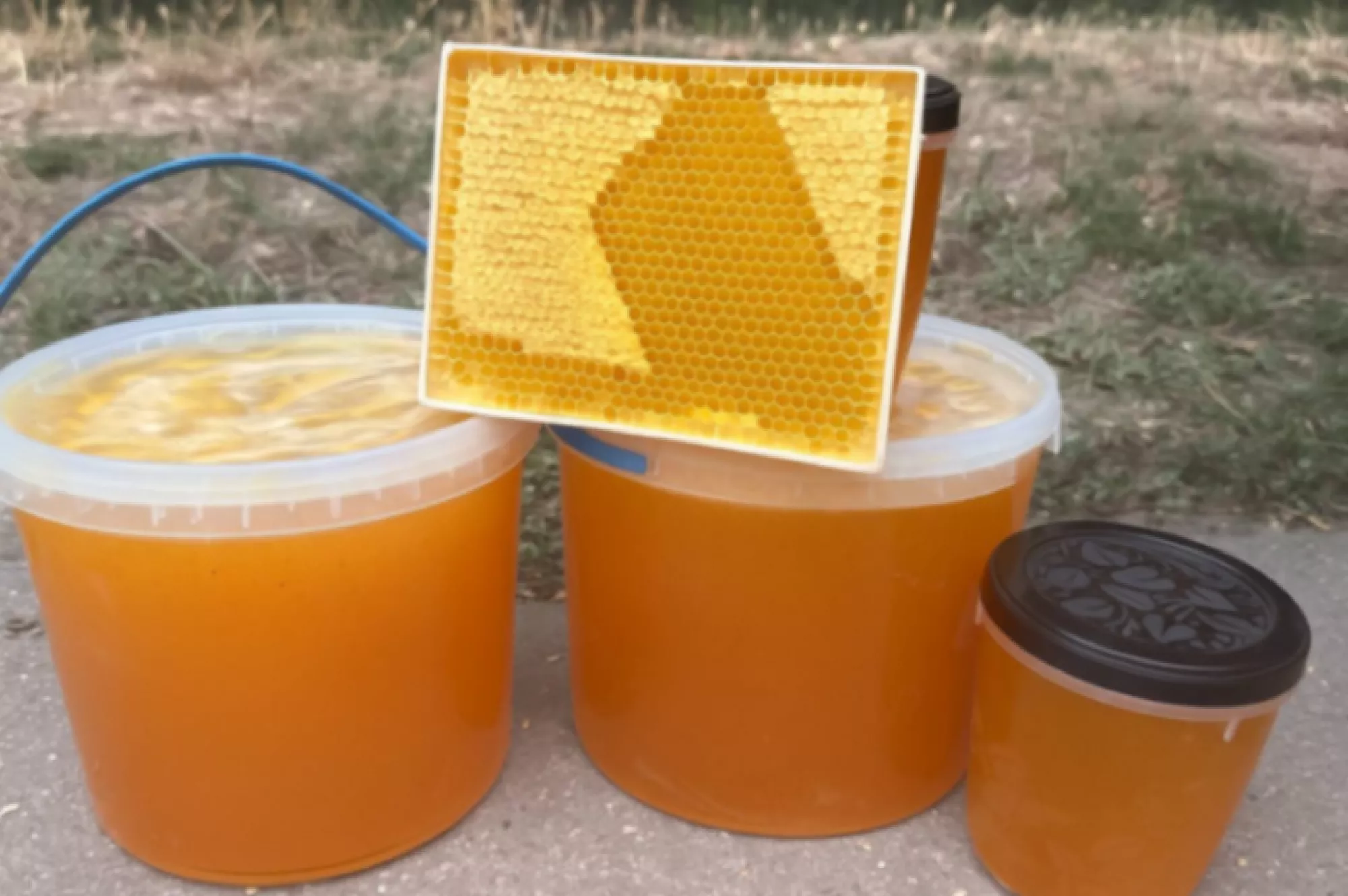 Соняшниковий мед