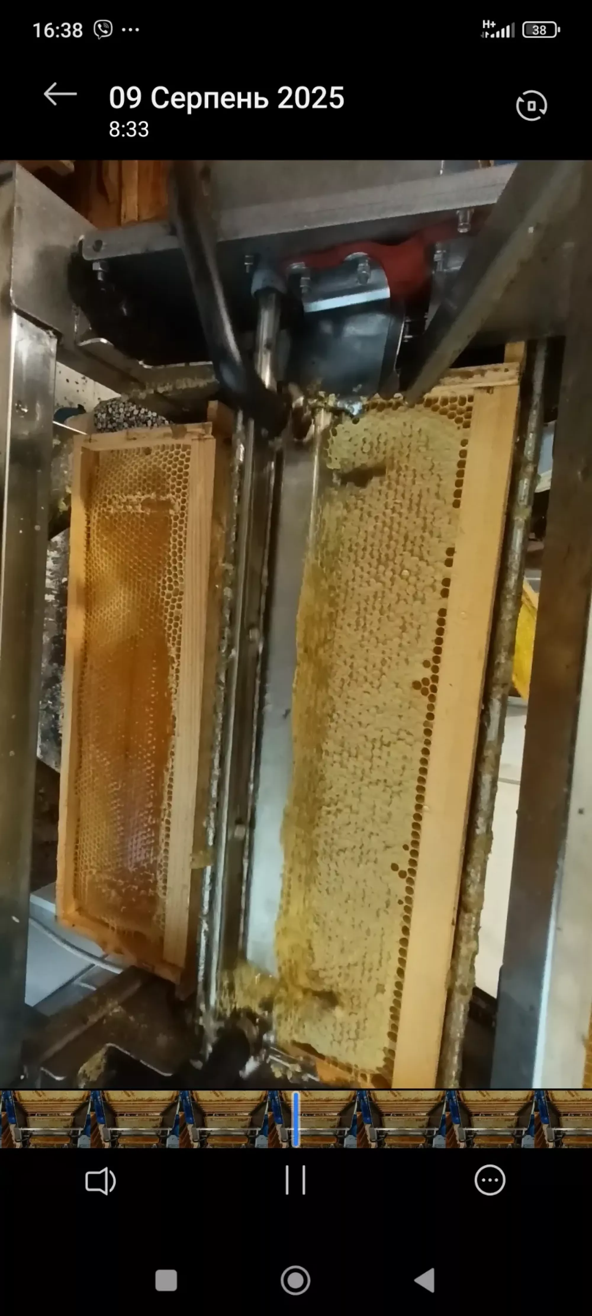 Продаємо мед соняшниковий+ фацелія+лугові трави