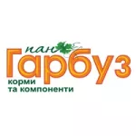 Володимир Анатолійович Матвеєв