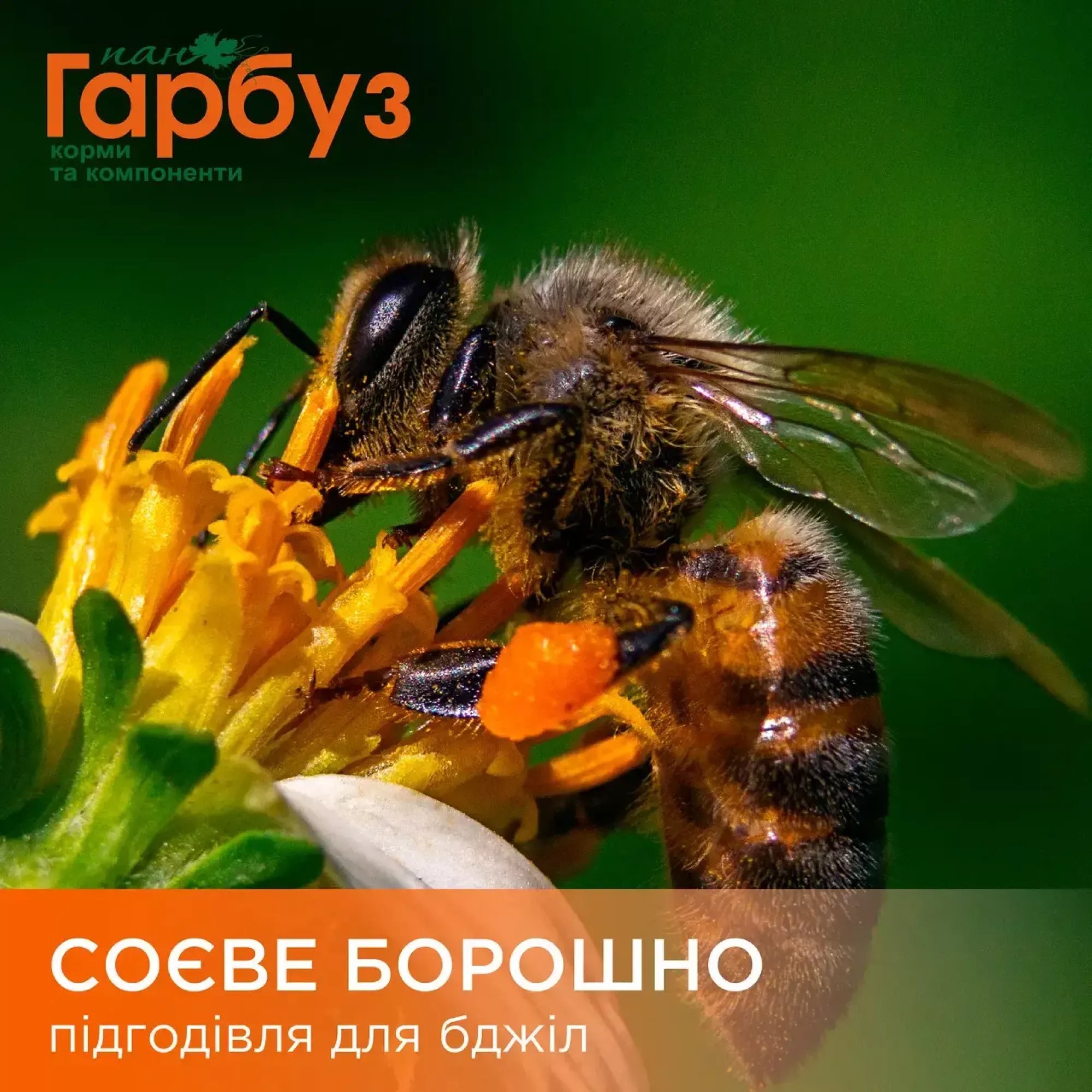 Соєва борошно - підгодівля для бджіл (10кг)