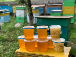 продам Соняшниковий мед