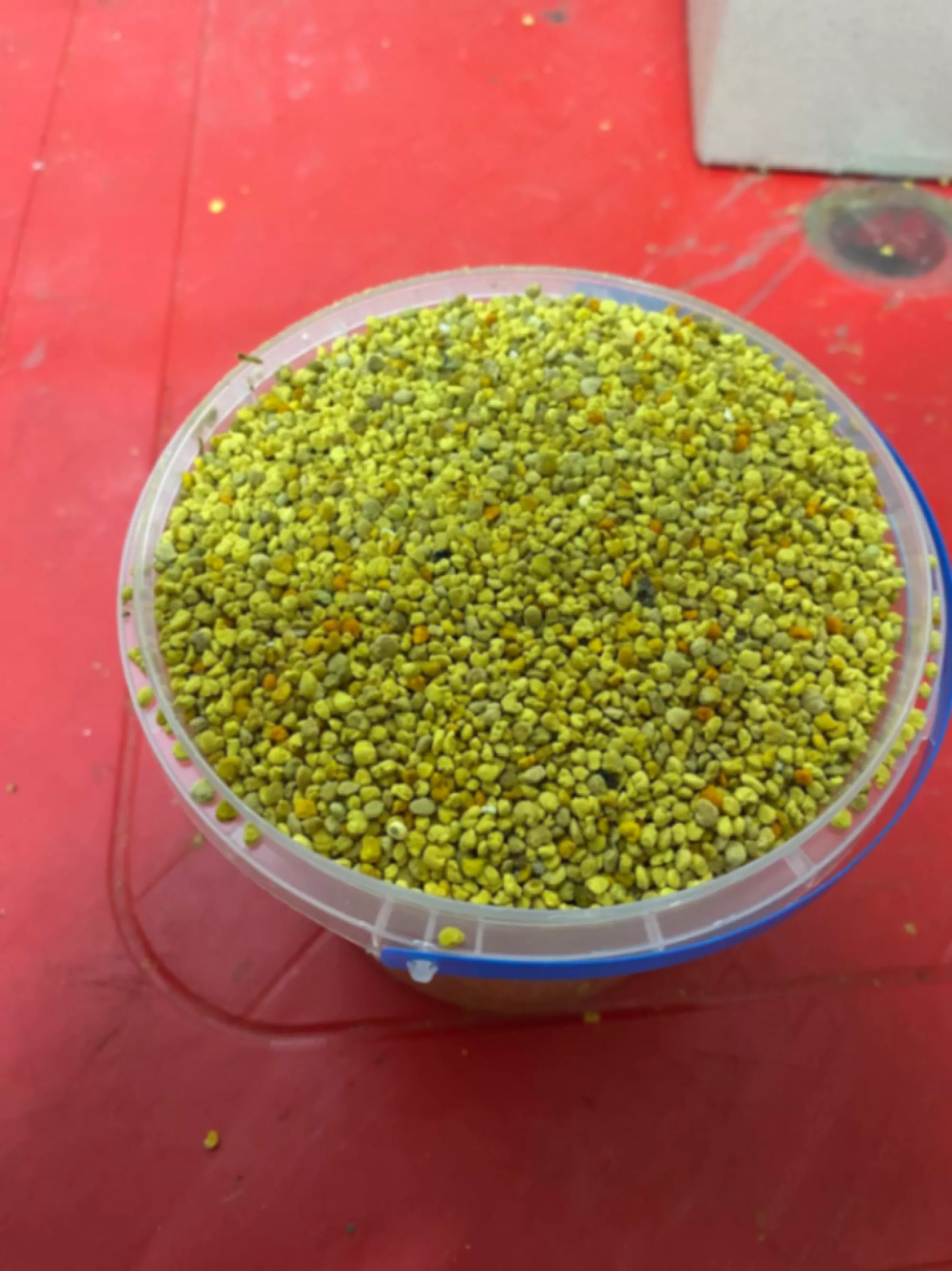 Пилок УРОЖАЙ 2025