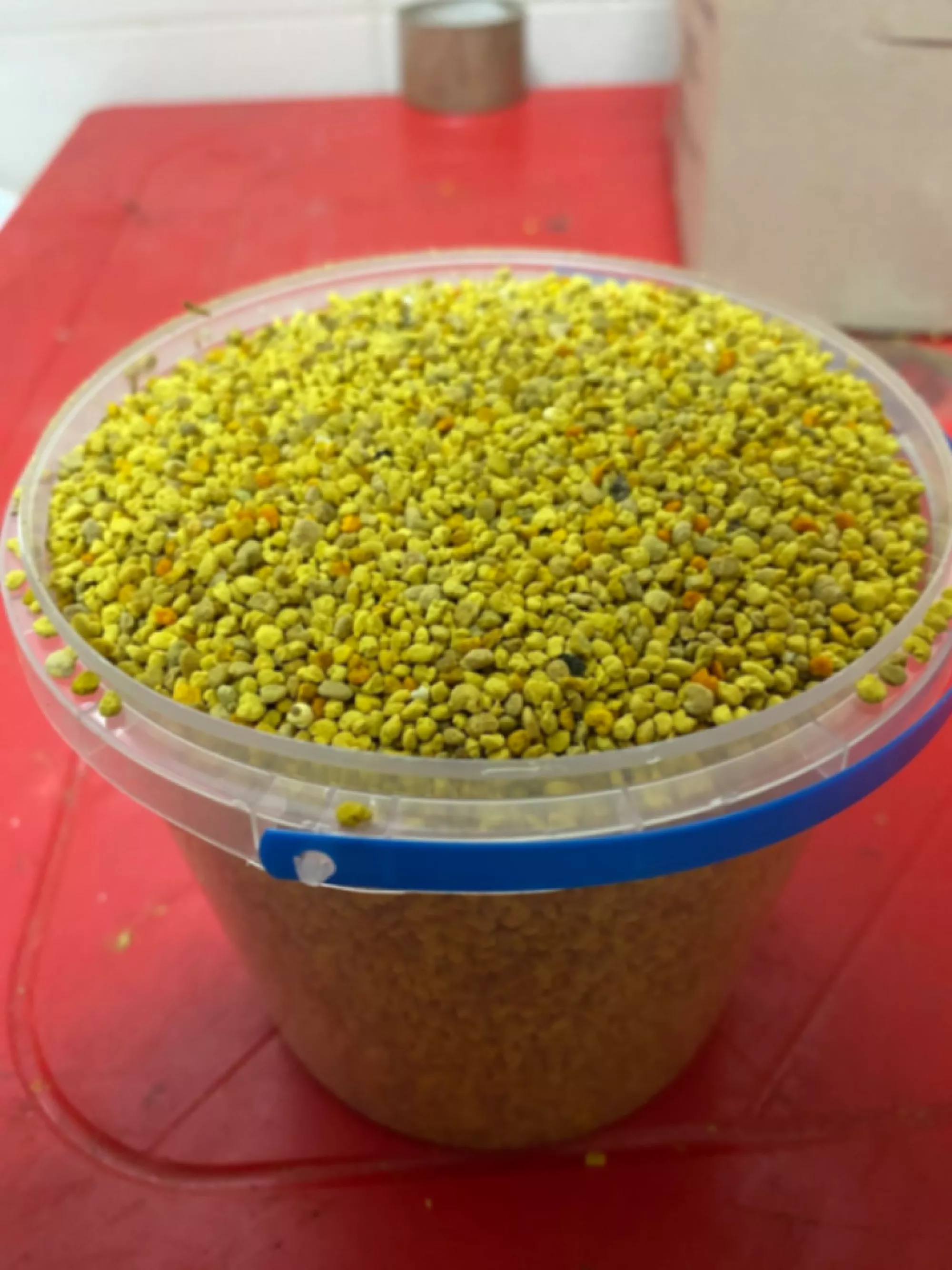 Пилок УРОЖАЙ 2025