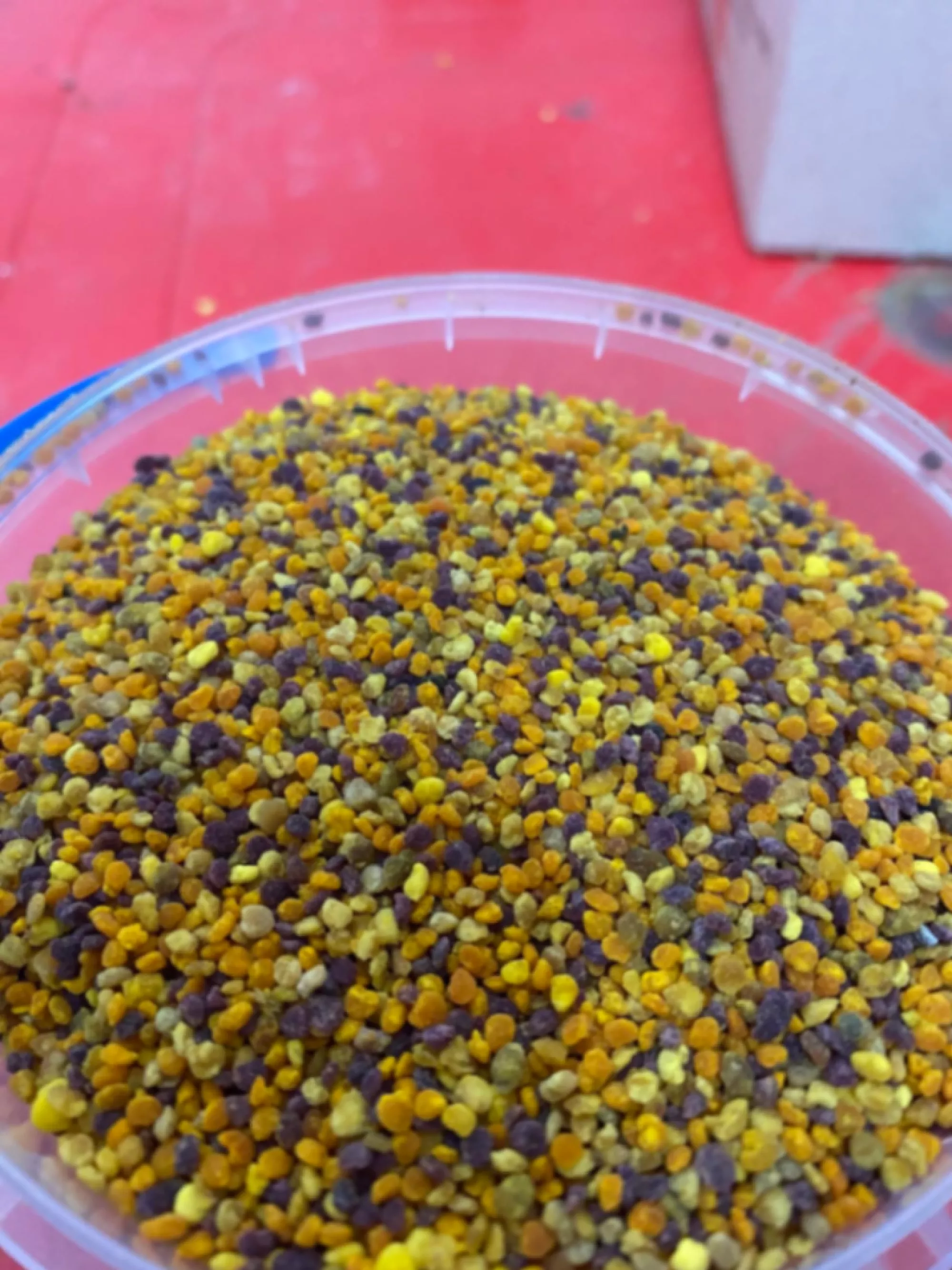 Пилок УРОЖАЙ 2025