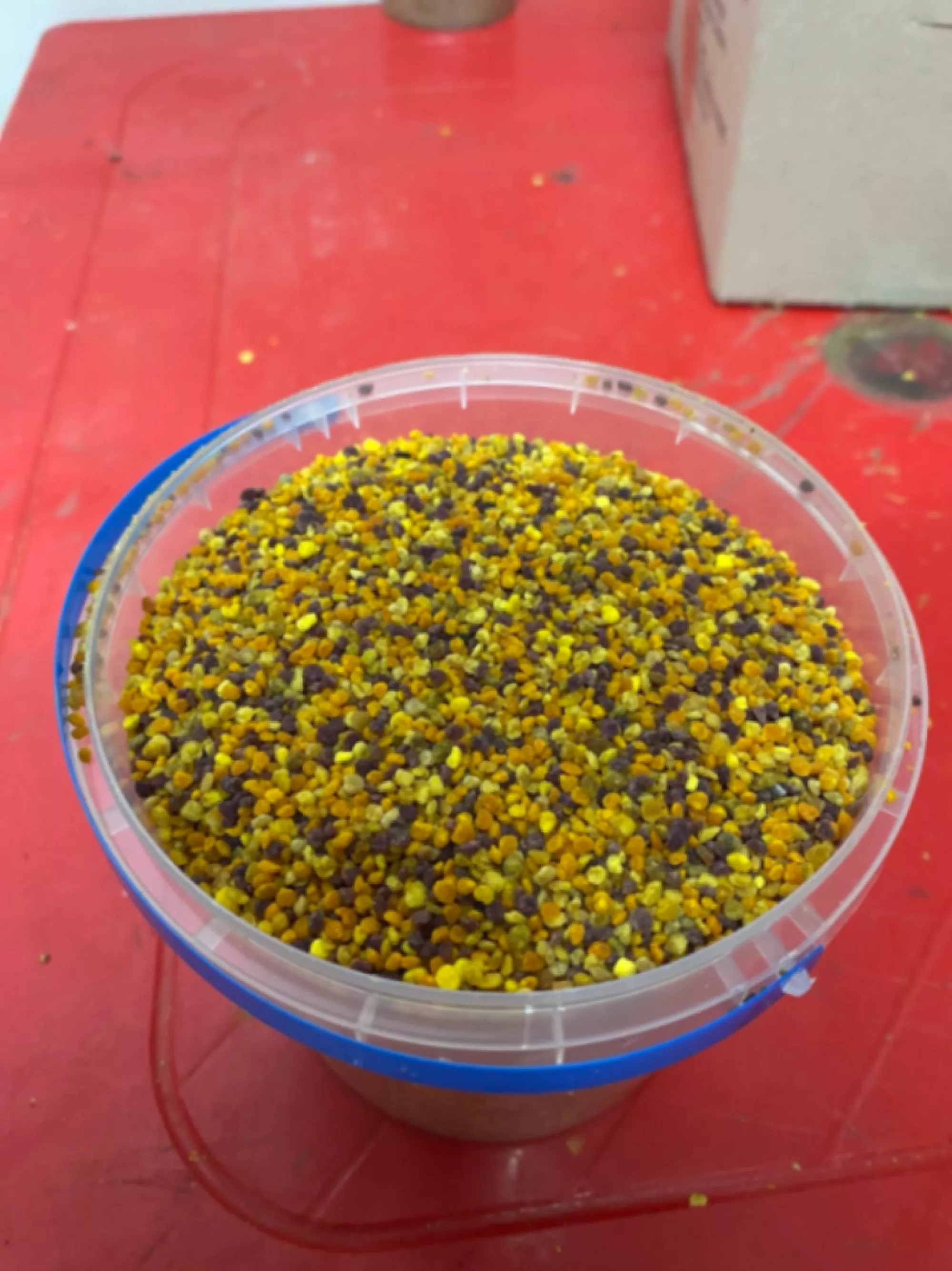 Пилок УРОЖАЙ 2025