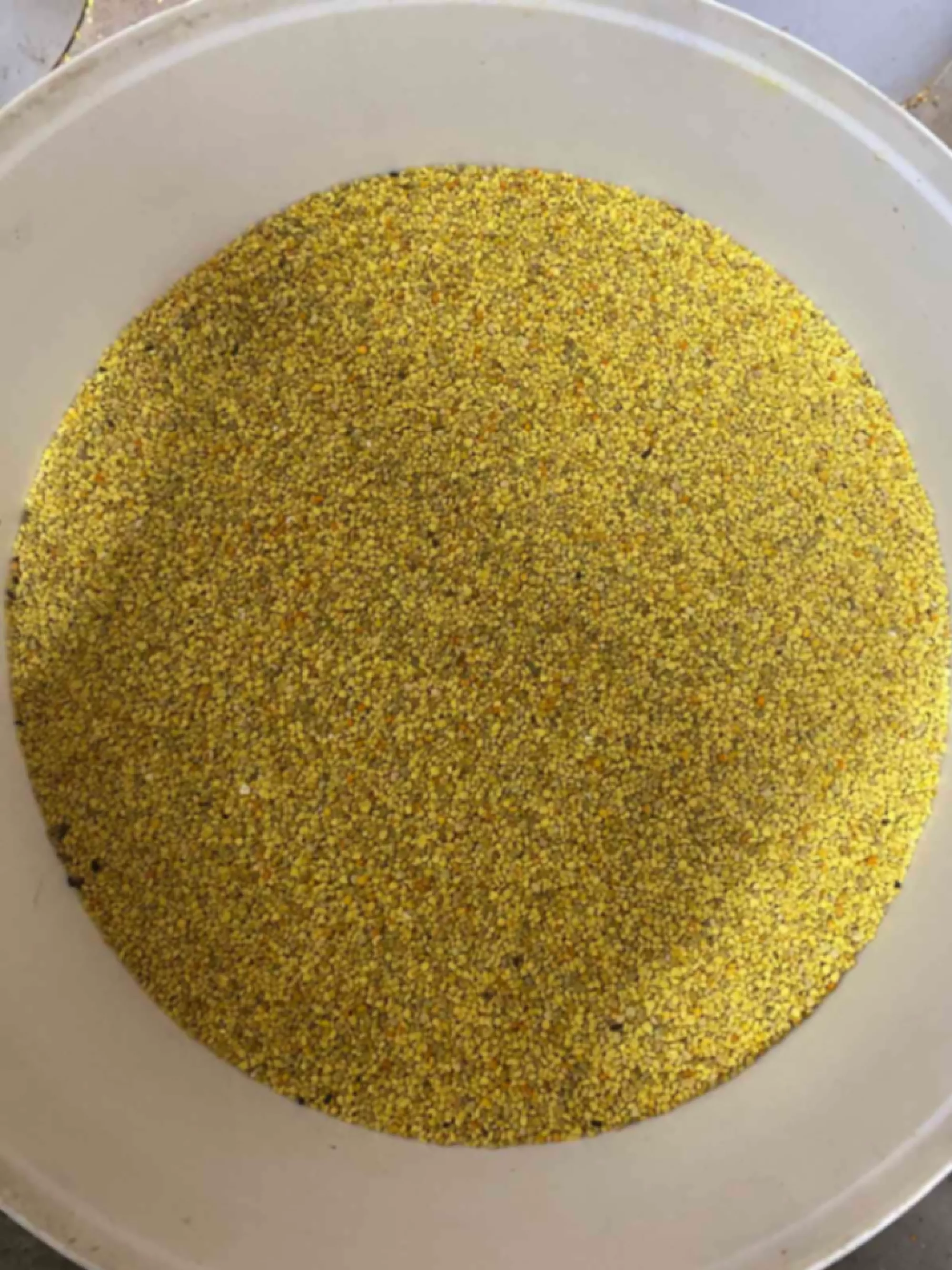 Пилок УРОЖАЙ 2025