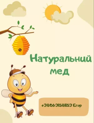 Мед соняшниковий