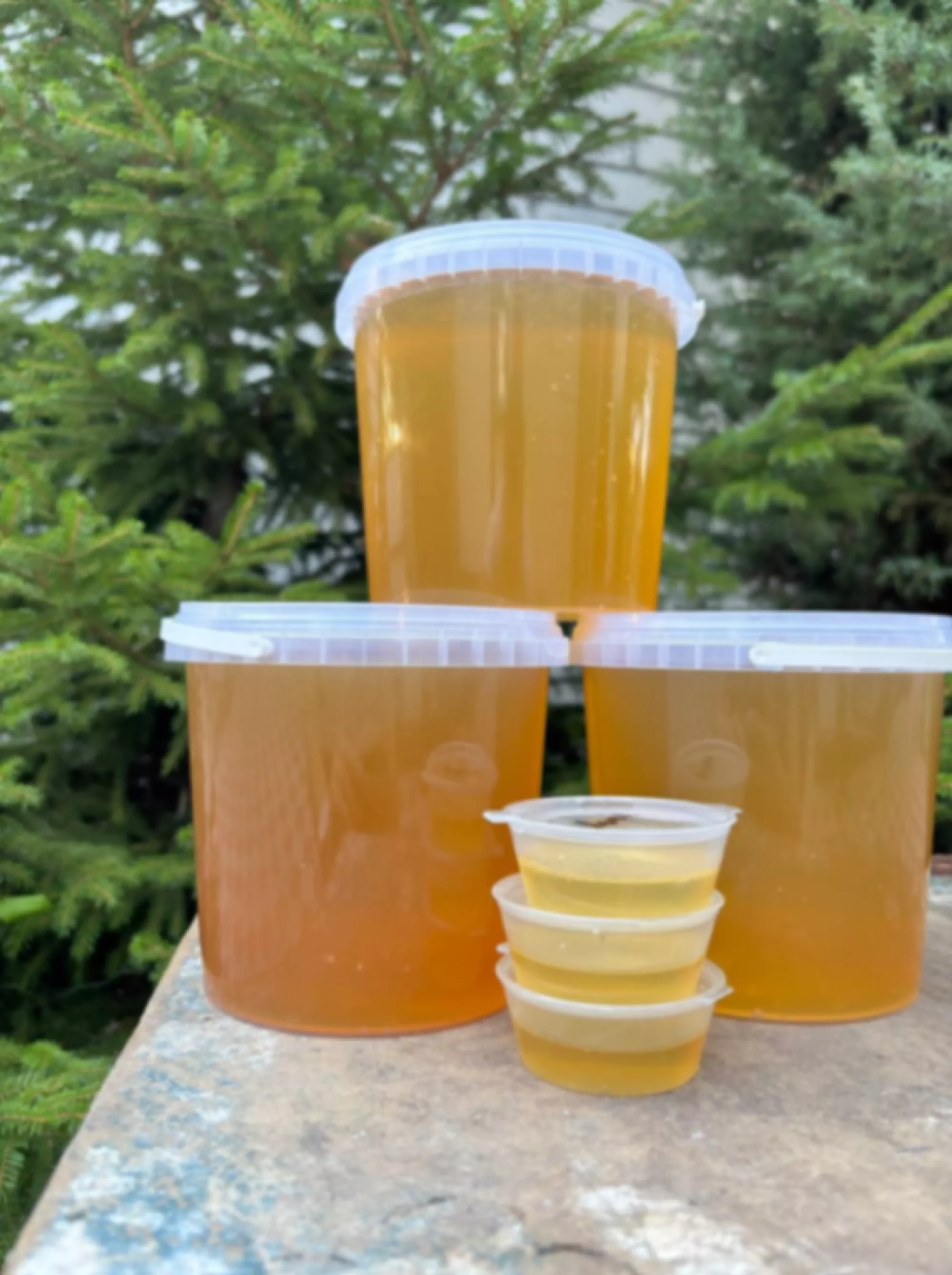 Справжній запашний липовий мед 2025 р