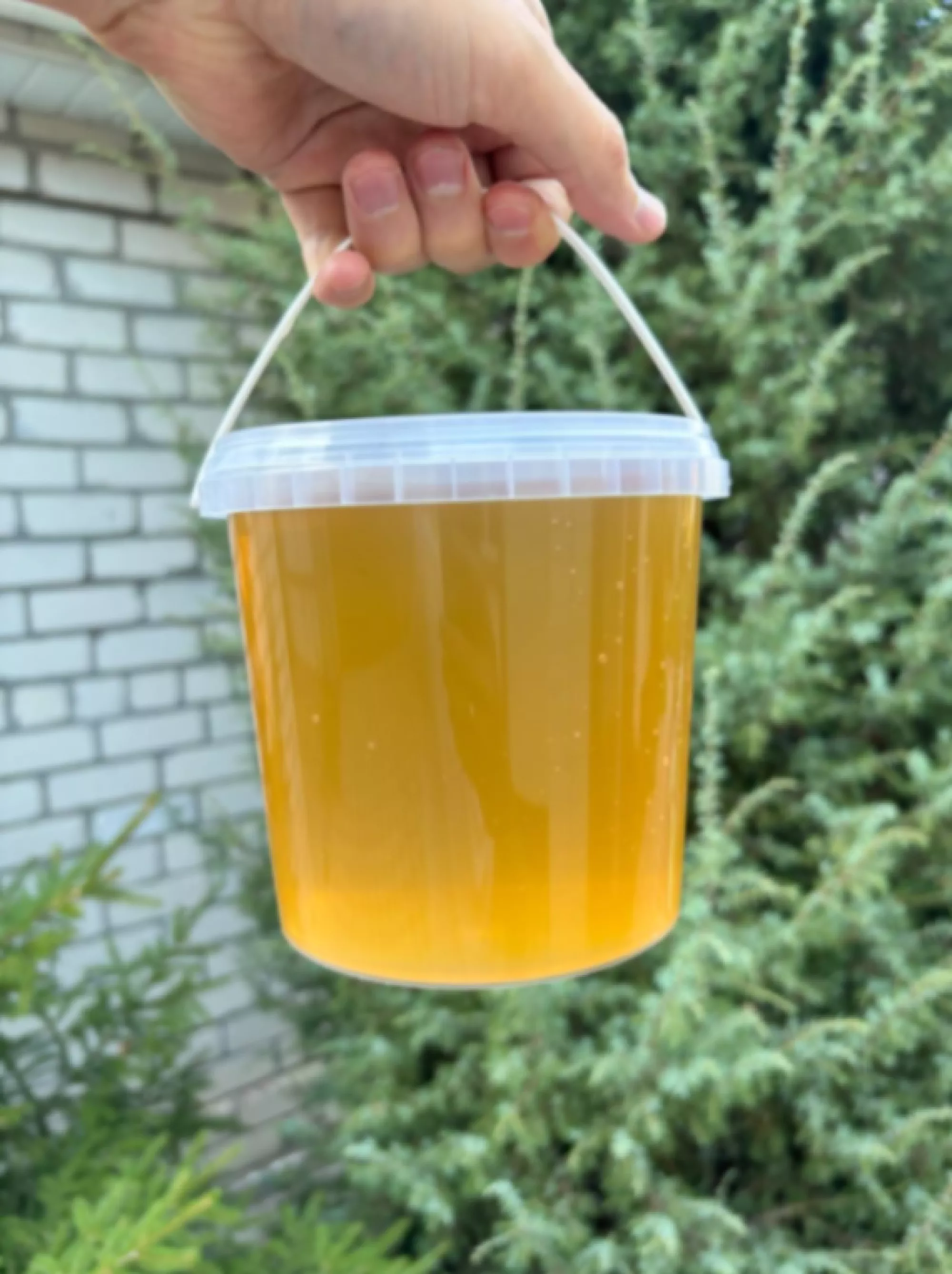 Справжній запашний липовий мед 2025 р