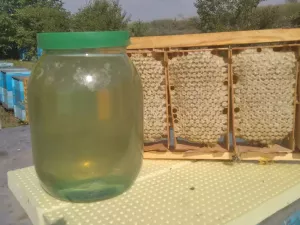 Акацієвий мед