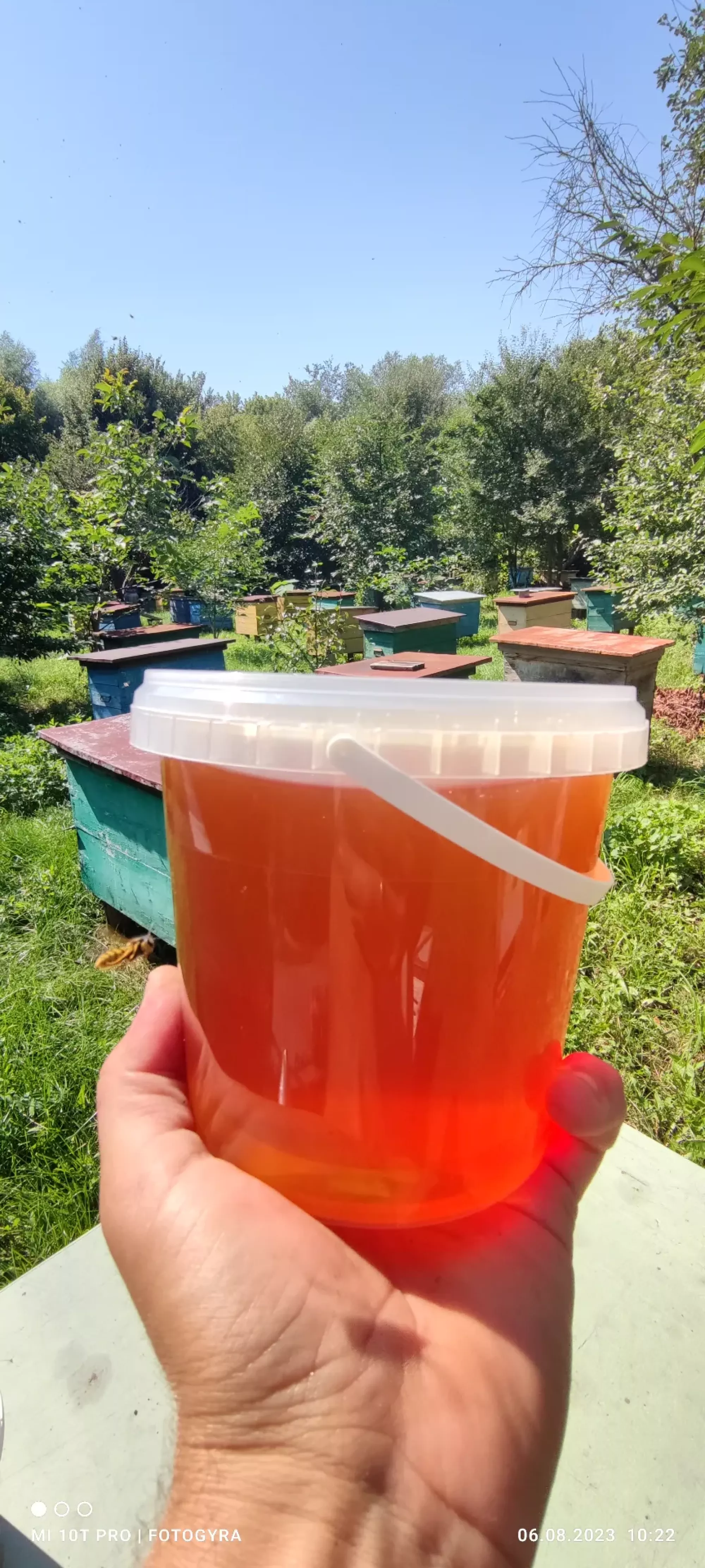 Натуральний мед з власної пасіки опт роздріб