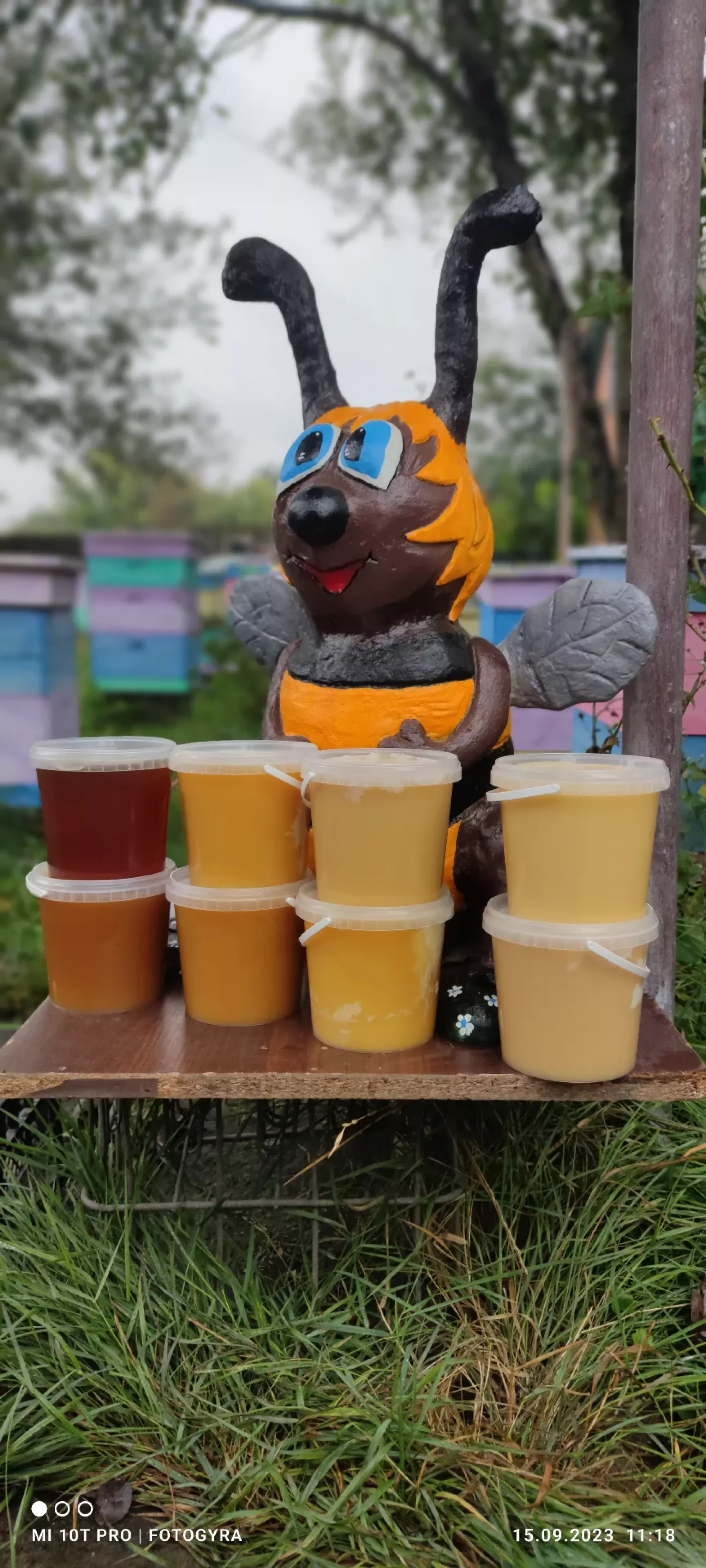 Натуральний мед з власної пасіки опт роздріб