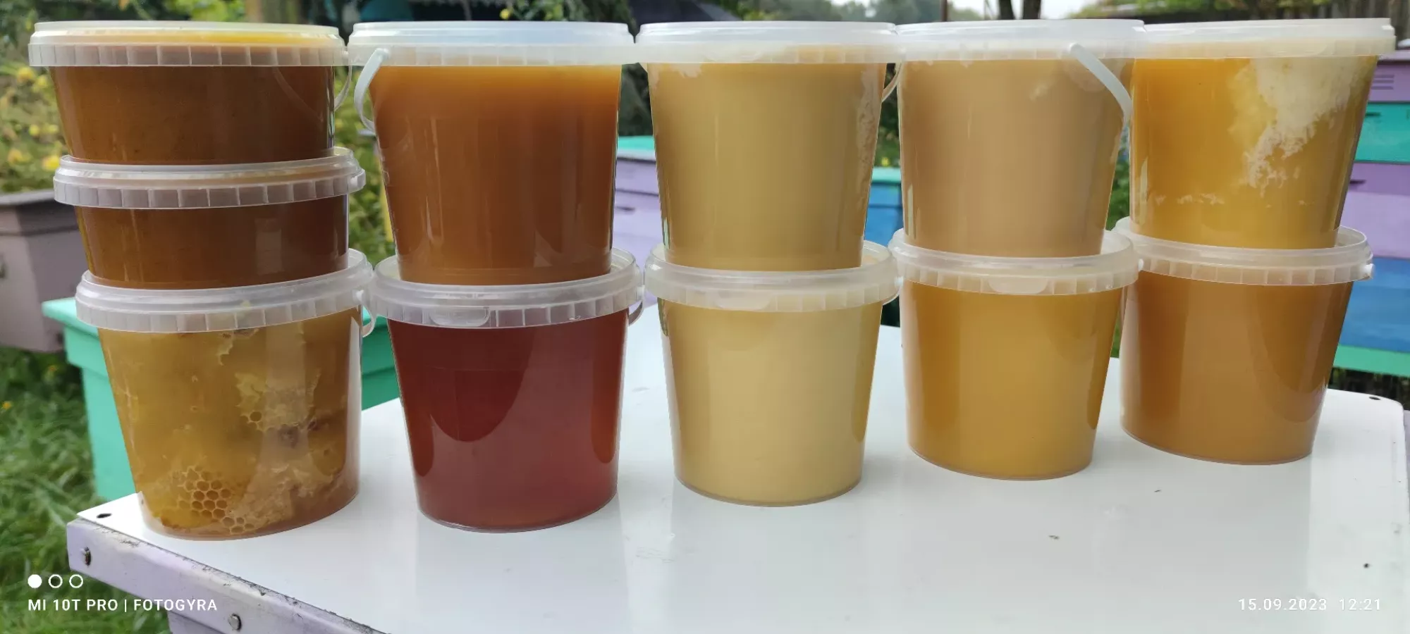 Натуральний мед з власної пасіки опт роздріб