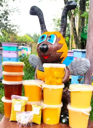 Натуральний мед з власної пасіки опт роздріб