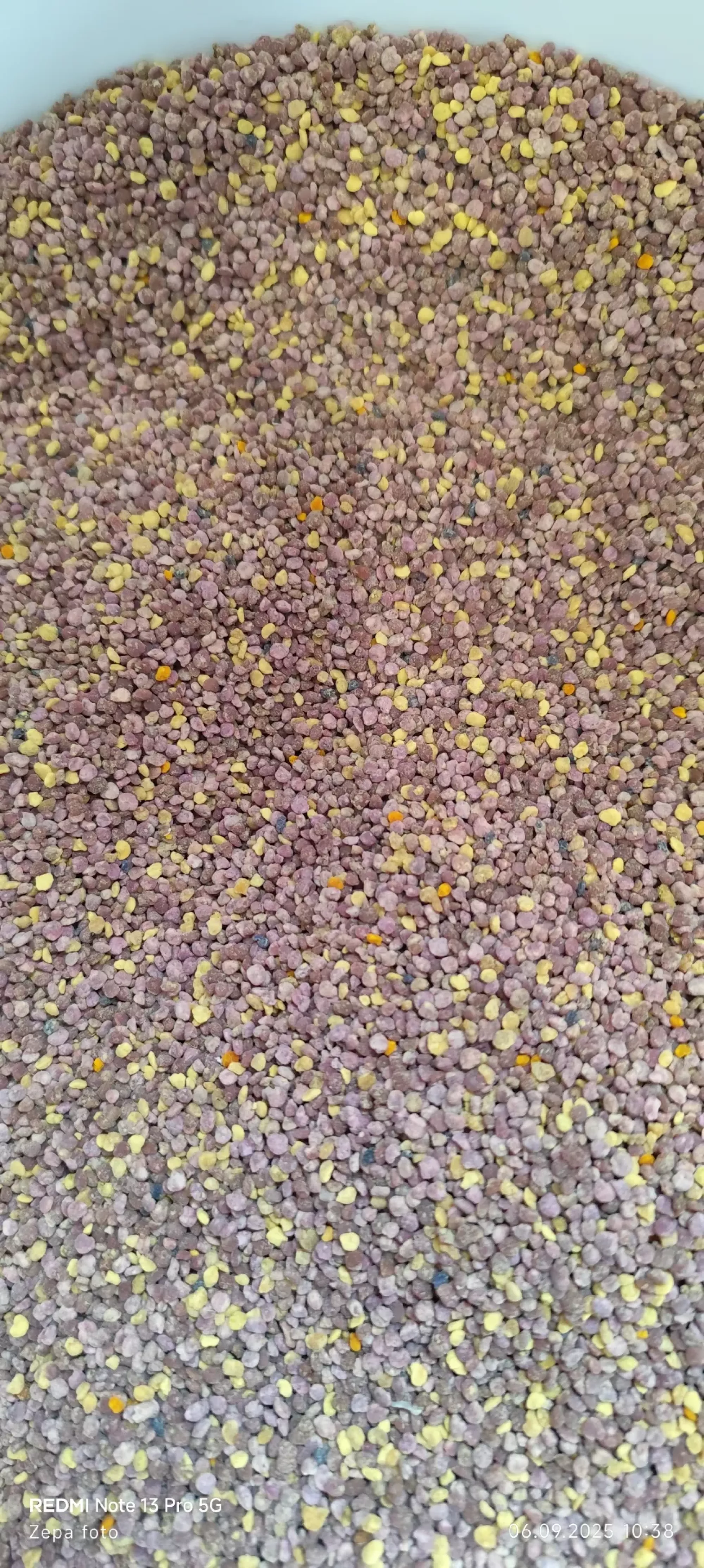 Квітковий пилок 2025р