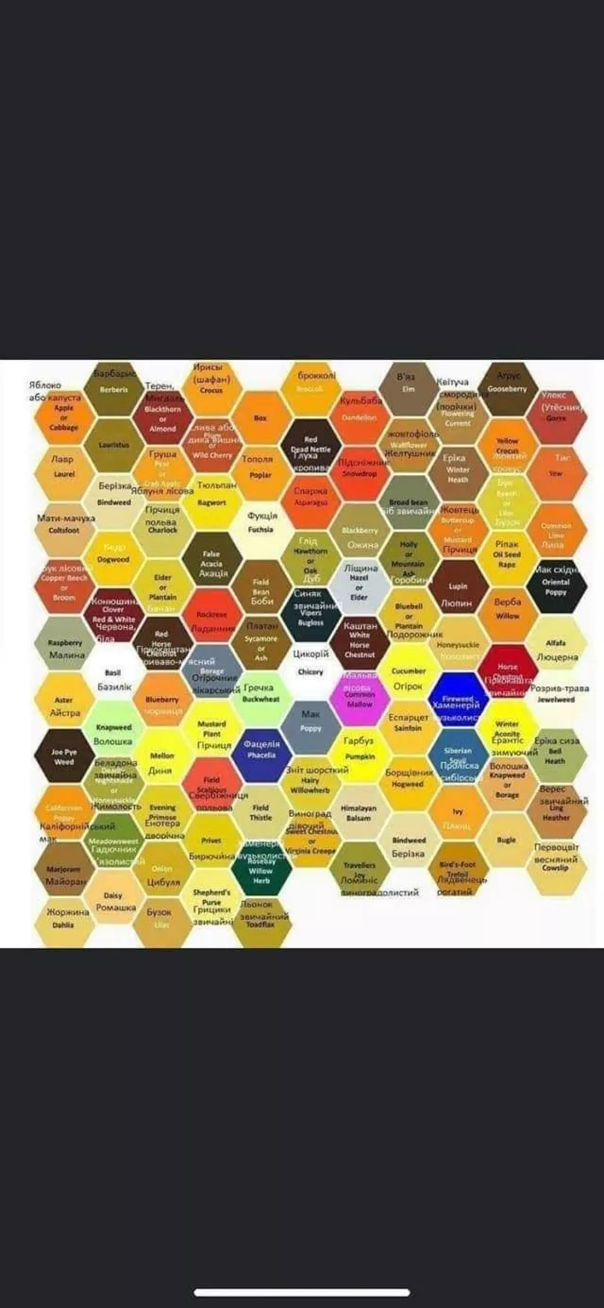 Квітковий пилок 2025р