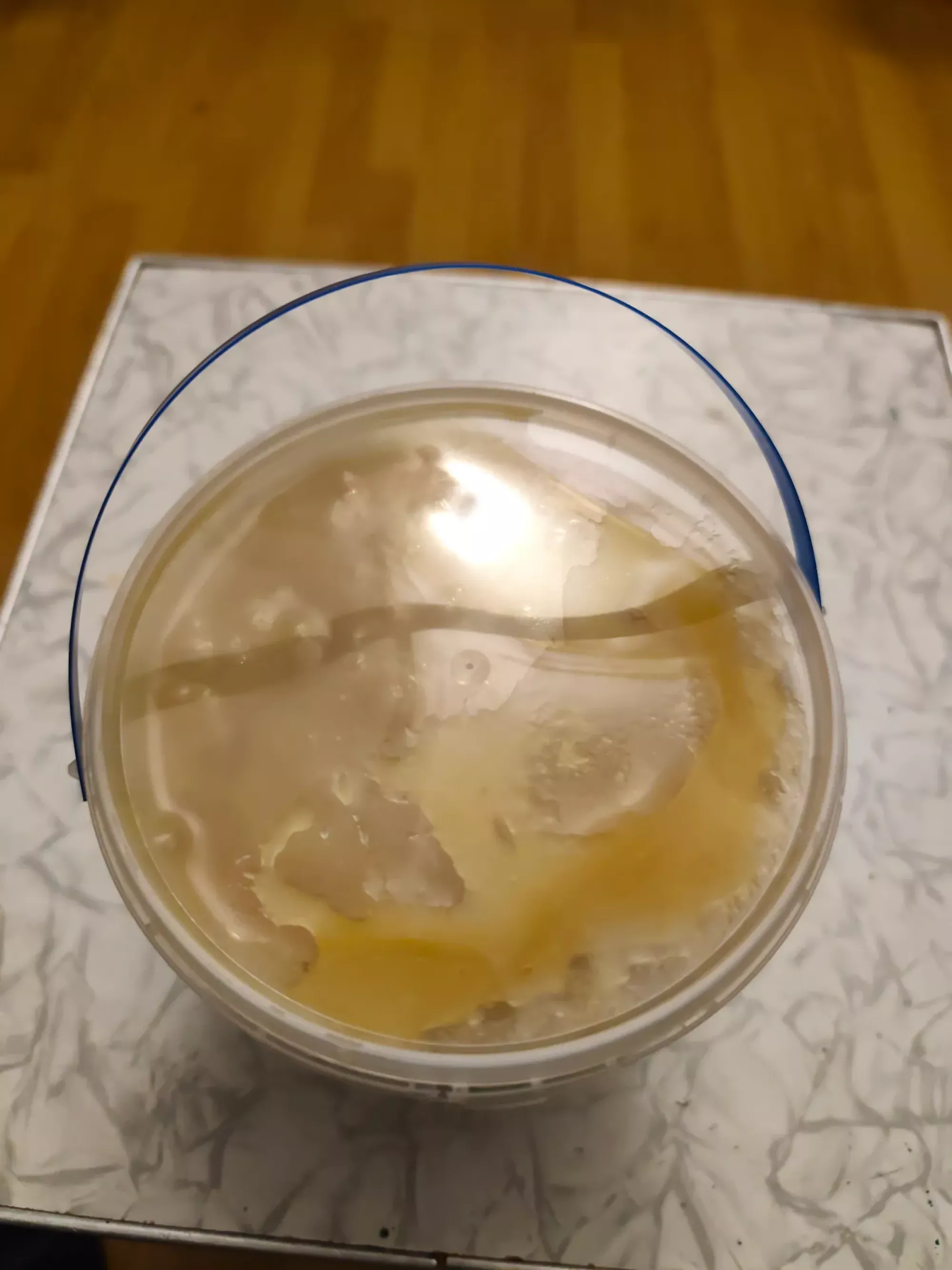 Мед натуральний Липа Різнотрав'я