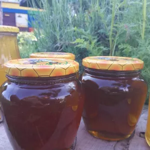 Мед закарпатський гірський