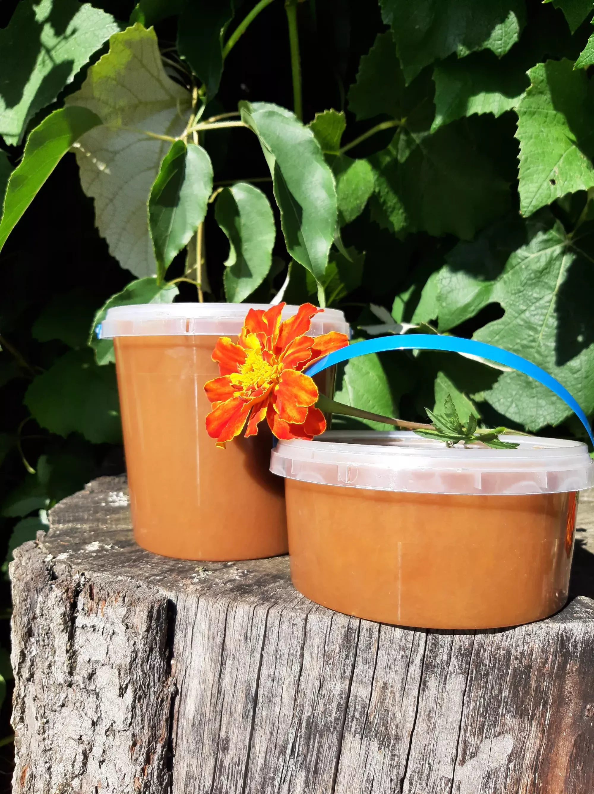 Гречаний мед