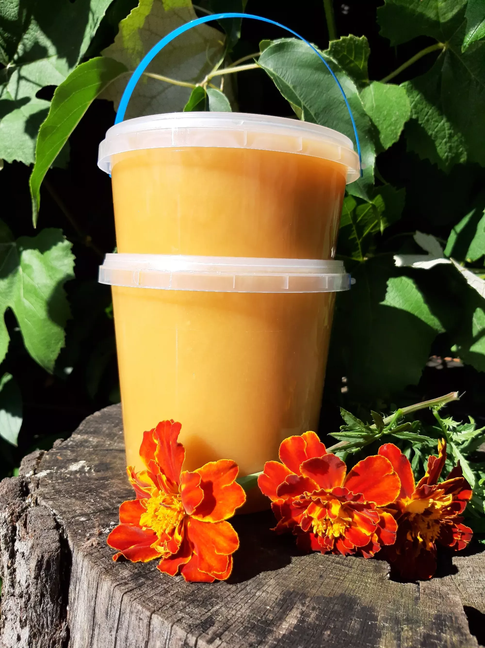 Різнотрав'я мед