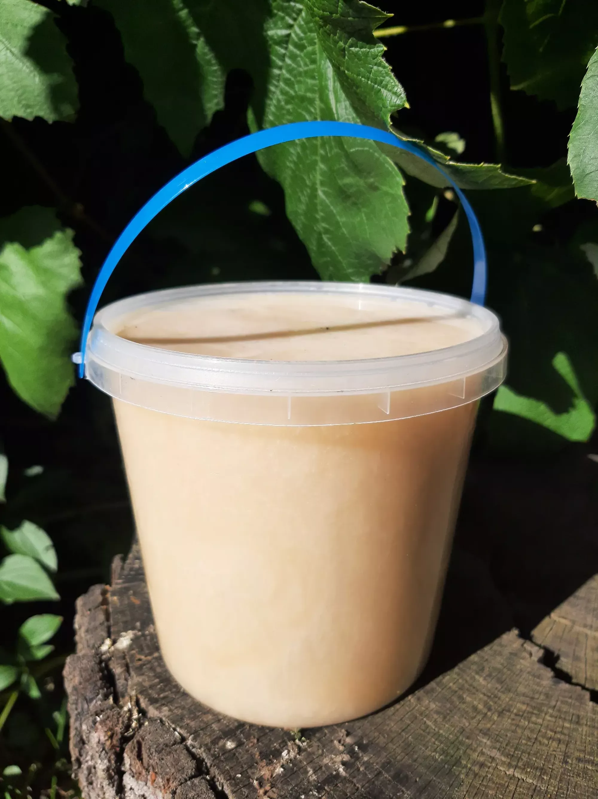 Ріпаковий мед