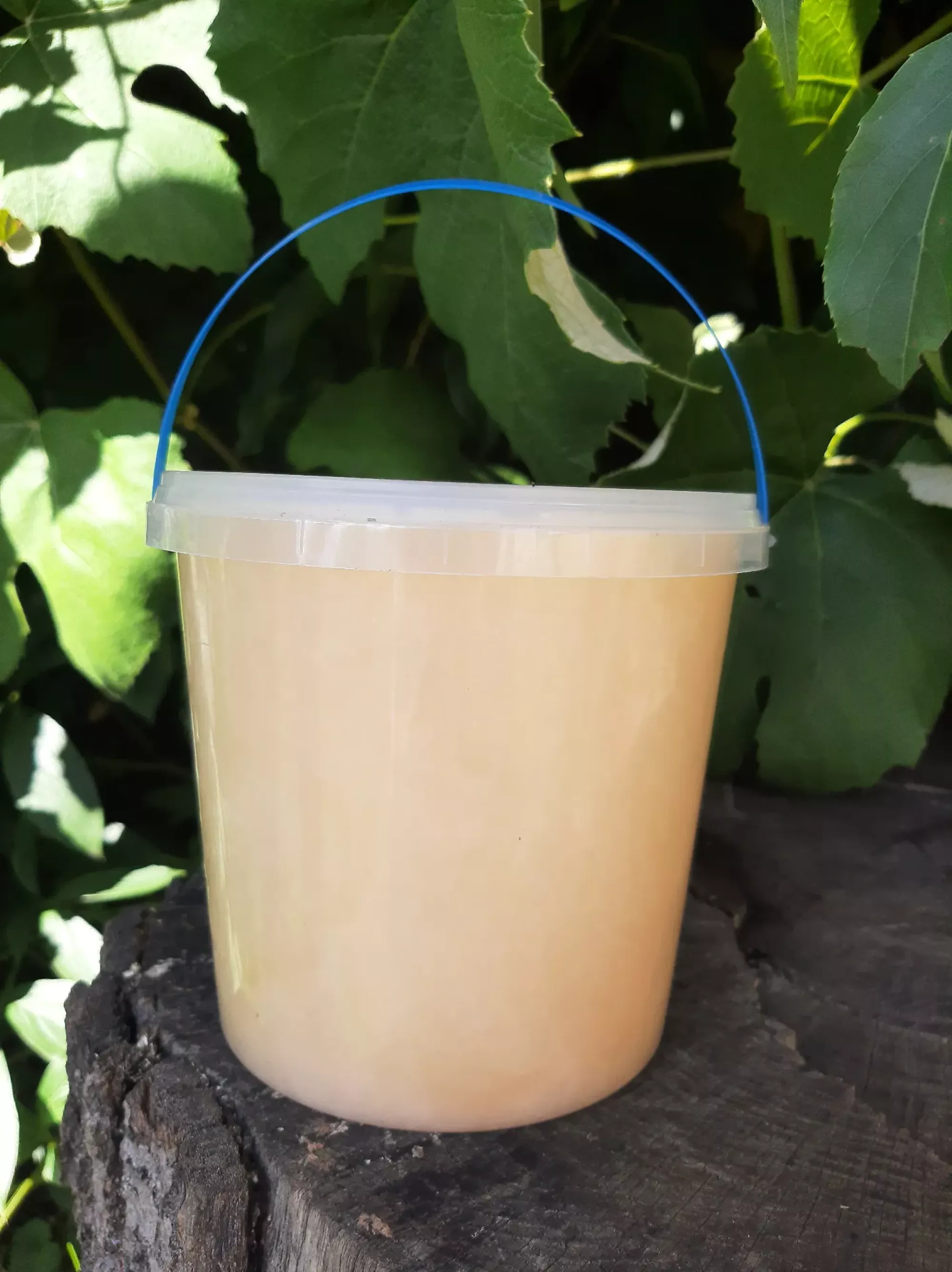 Ріпаковий мед