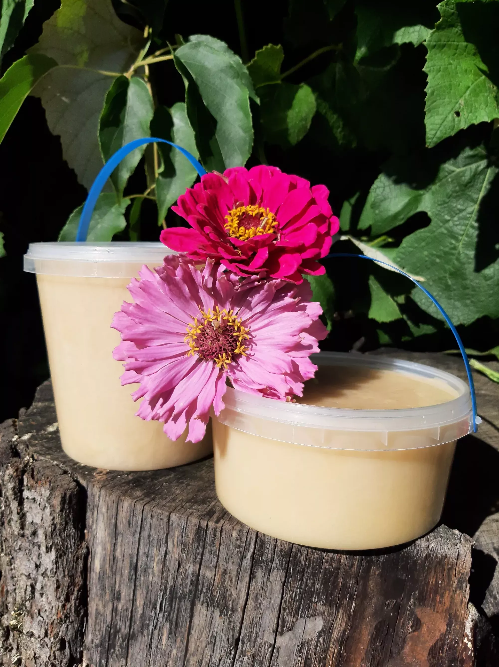 Ріпаковий мед