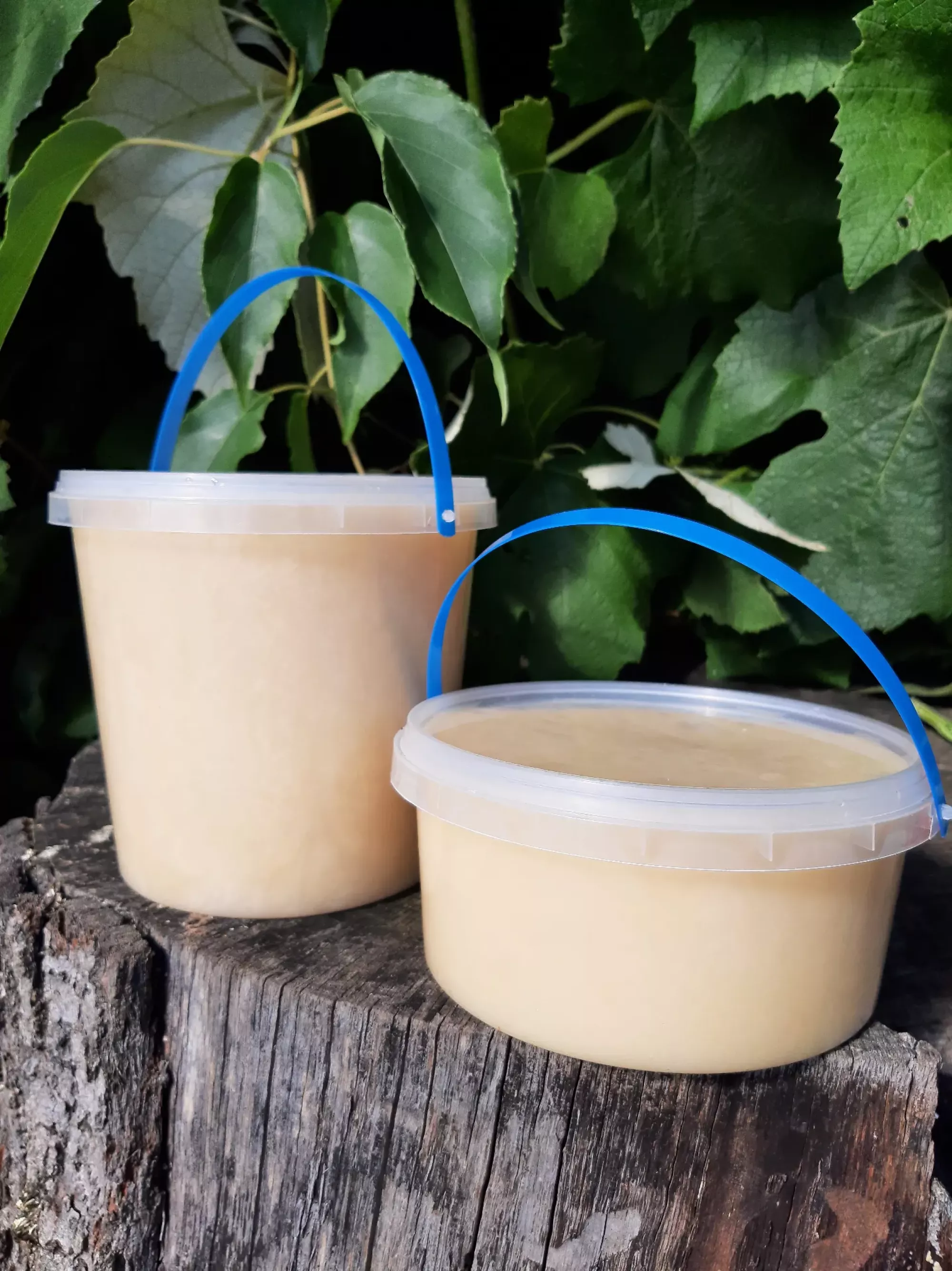 Ріпаковий мед