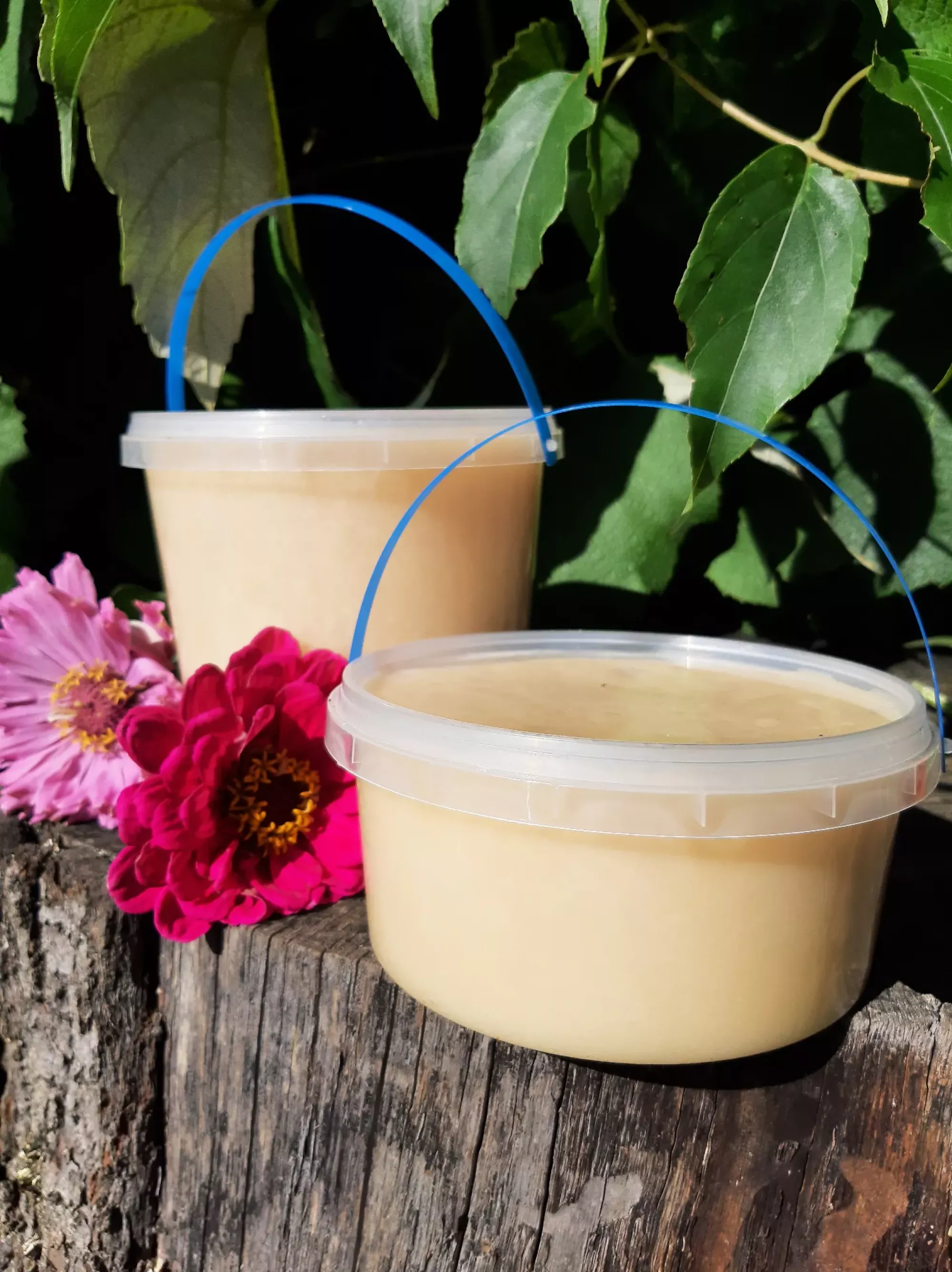 Ріпаковий мед