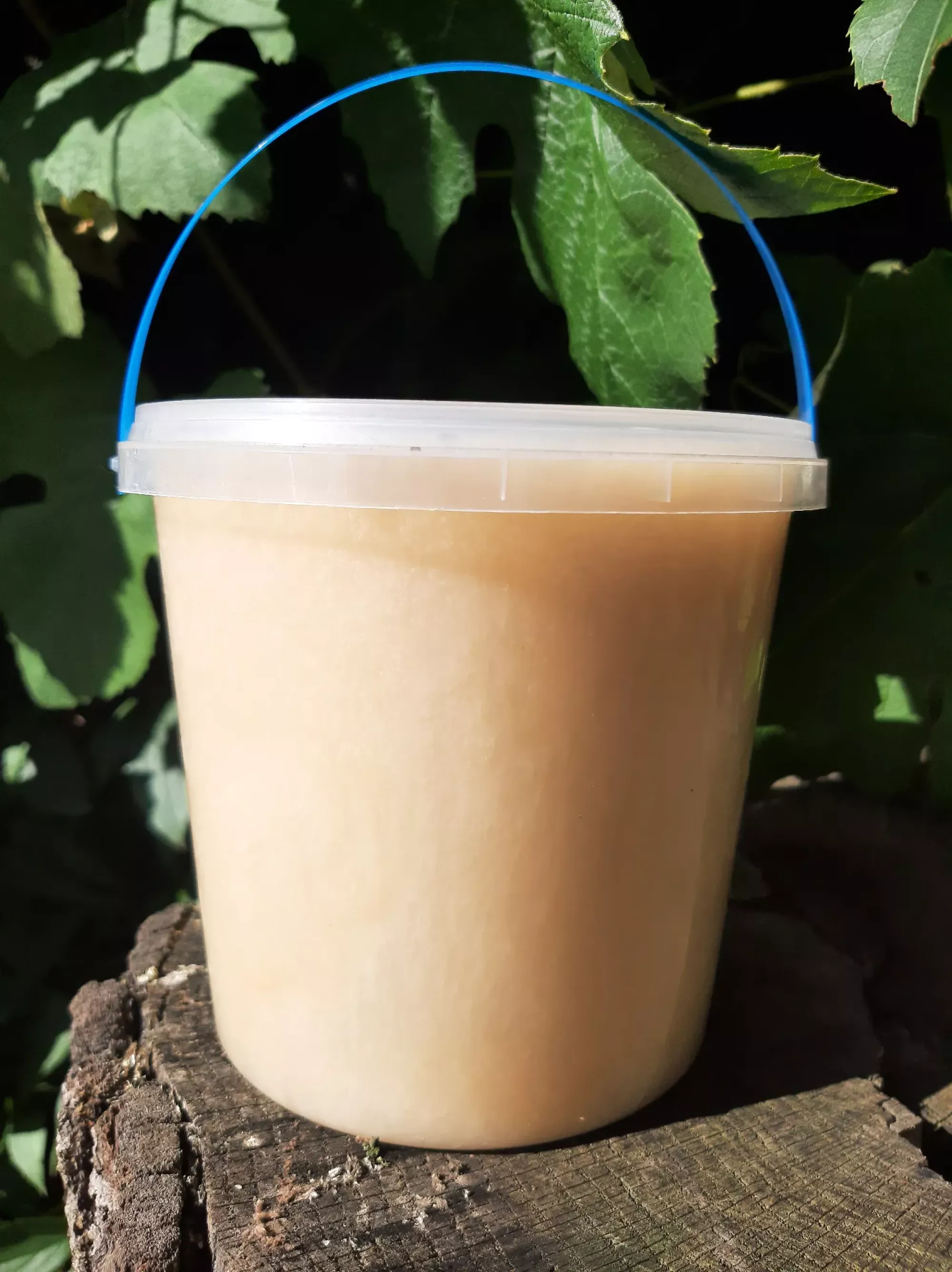 Ріпаковий мед